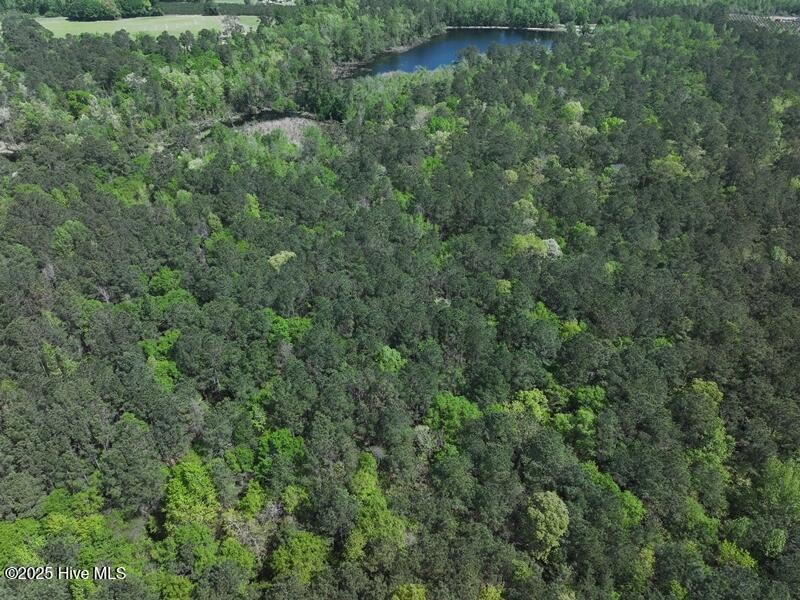 Tbd Sand Rock Road Property Photo 8