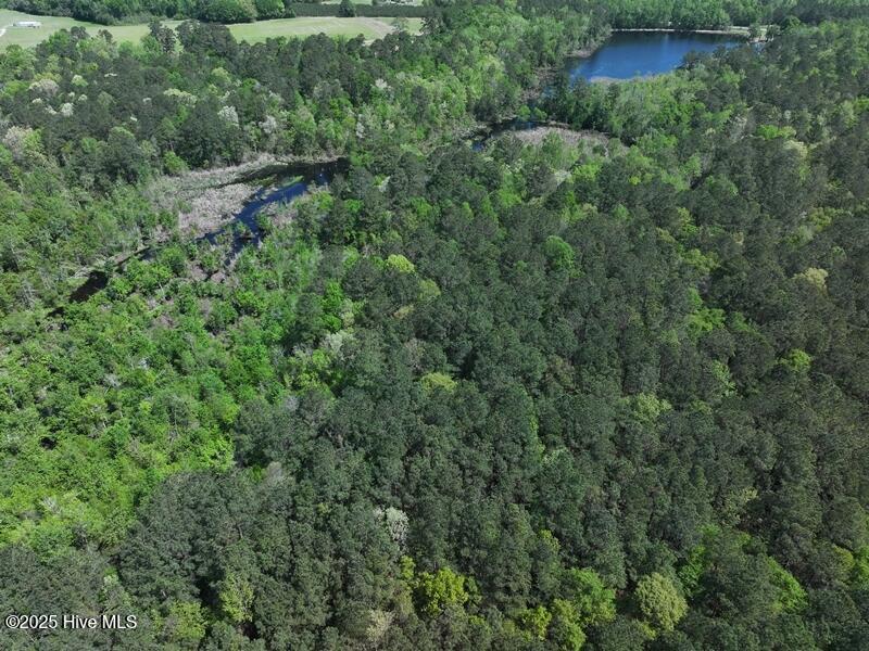 Tbd Sand Rock Road Property Photo 9