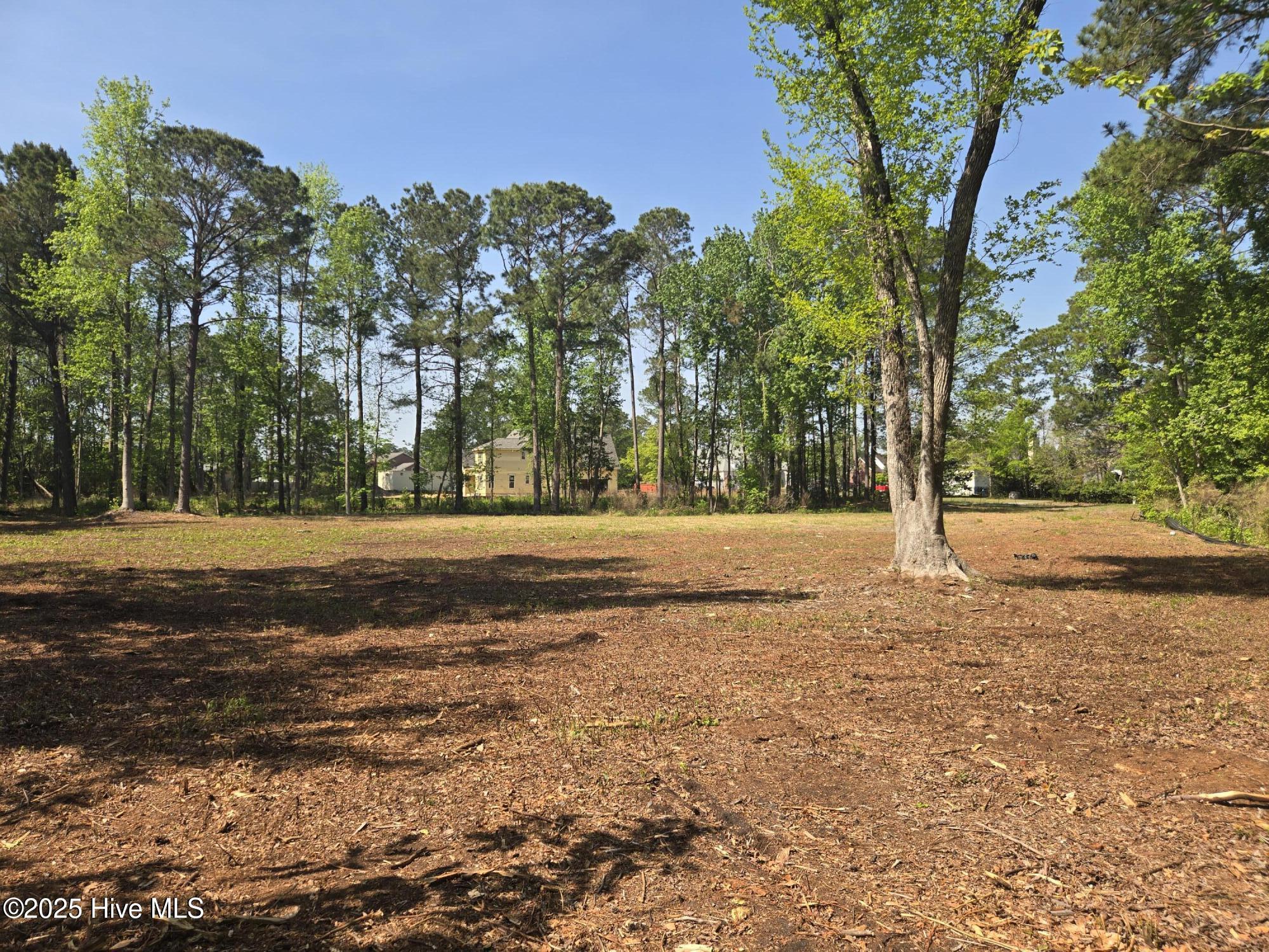 1254 Shenandoah Street Property Photo 11