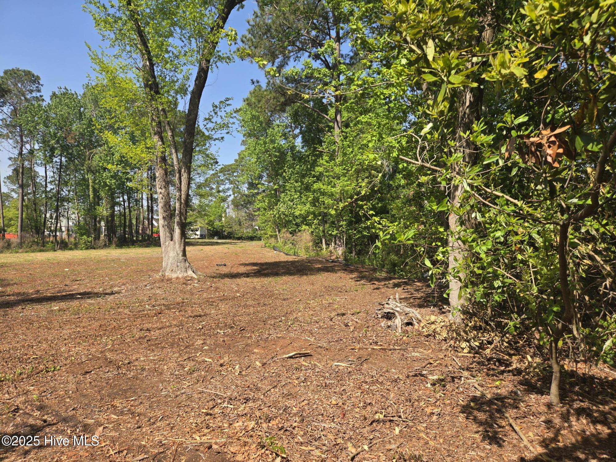 1254 Shenandoah Street Property Photo 12