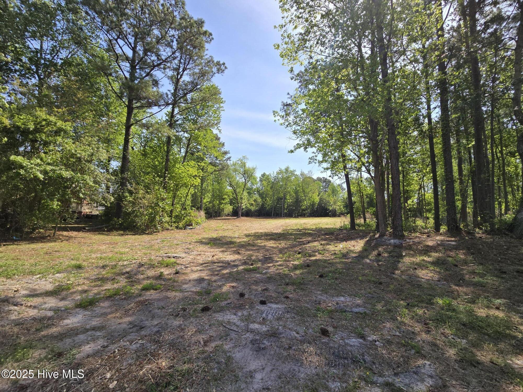 1254 Shenandoah Street Property Photo 21
