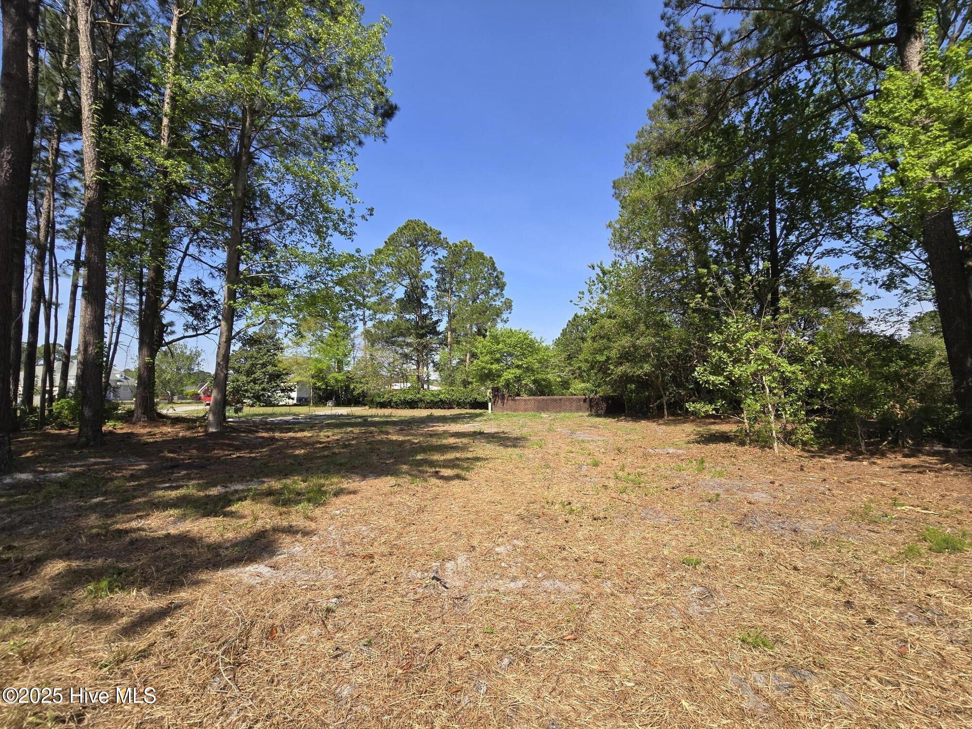 1254 Shenandoah Street Property Photo 22