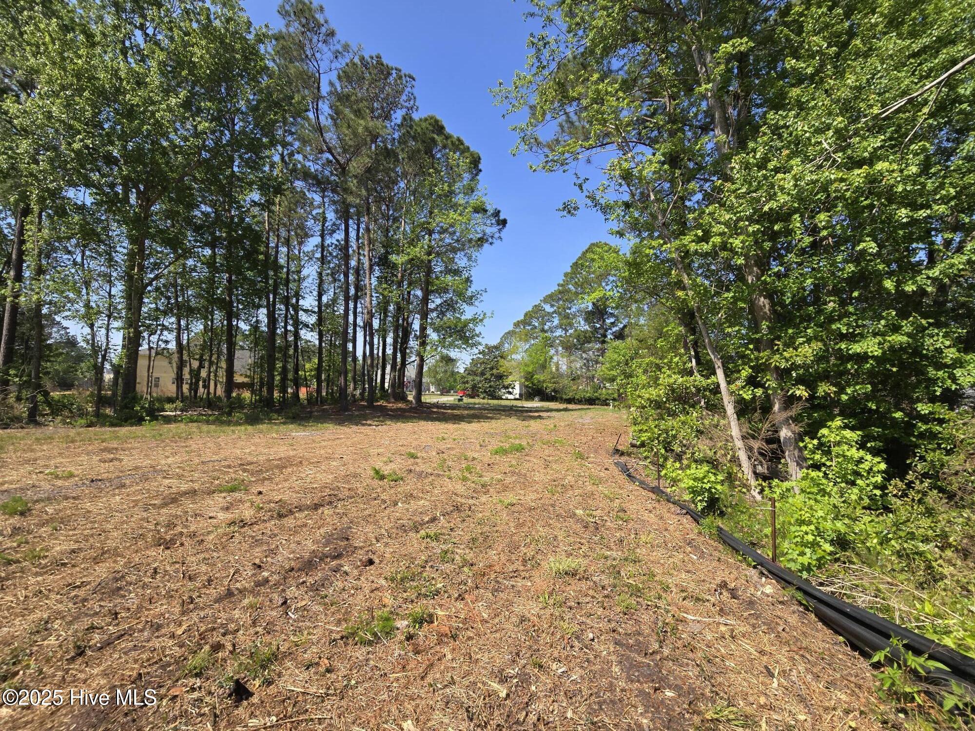 1254 Shenandoah Street Property Photo 23