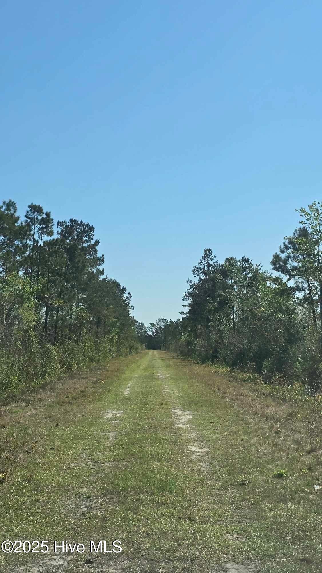 0000 New Britton Highway Property Photo 21