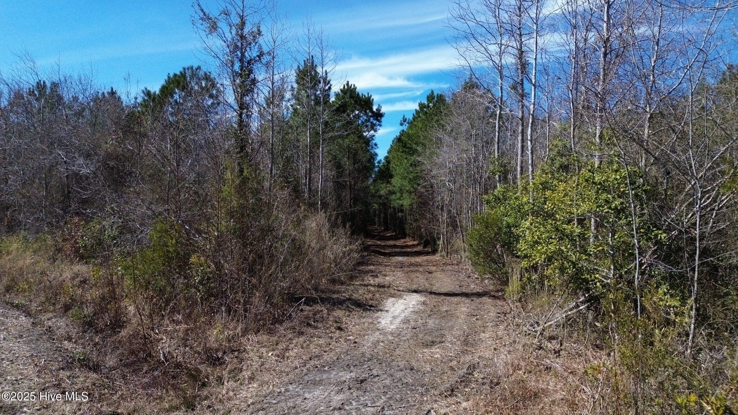 0 Mcnair Lane Property Photo 3