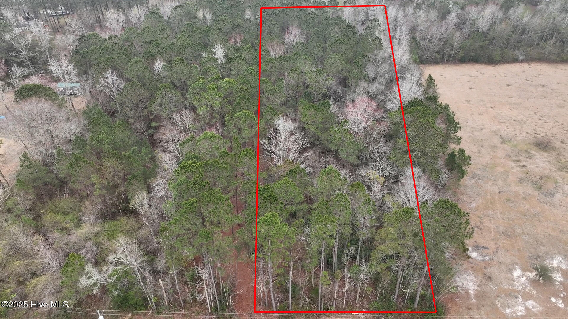 270 Long Leaf Hills Drive Property Photo 1