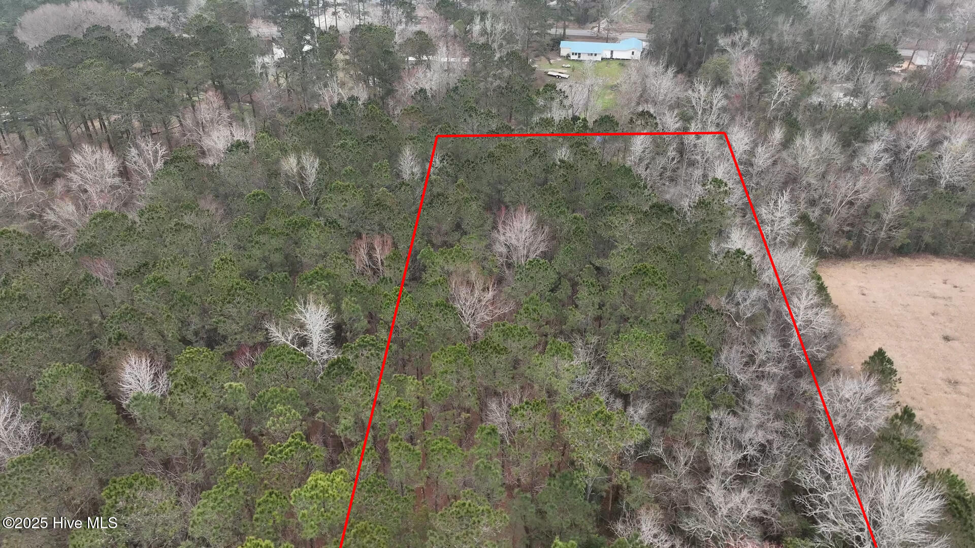 270 Long Leaf Hills Drive Property Photo 2