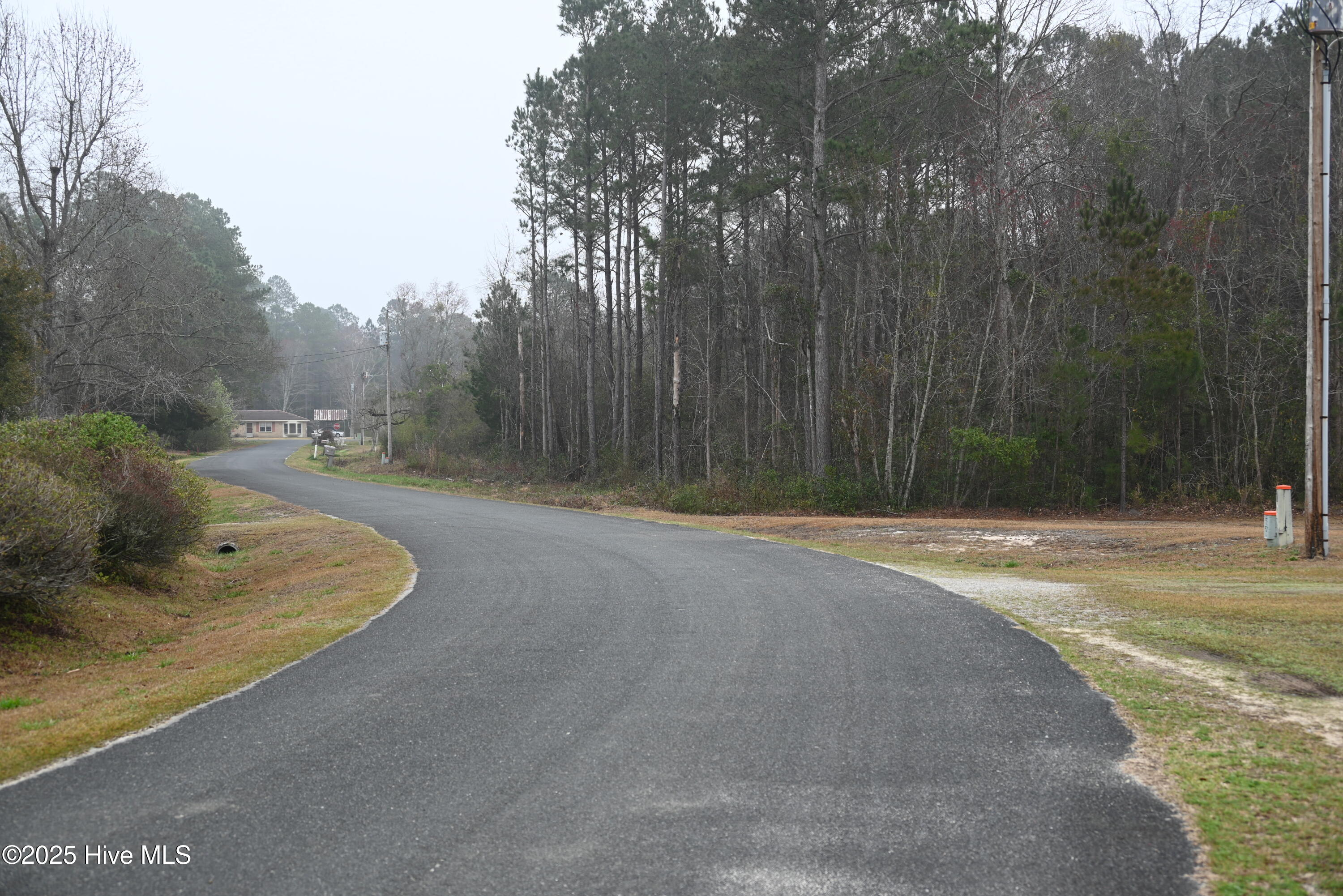 270 Long Leaf Hills Drive Property Photo 6