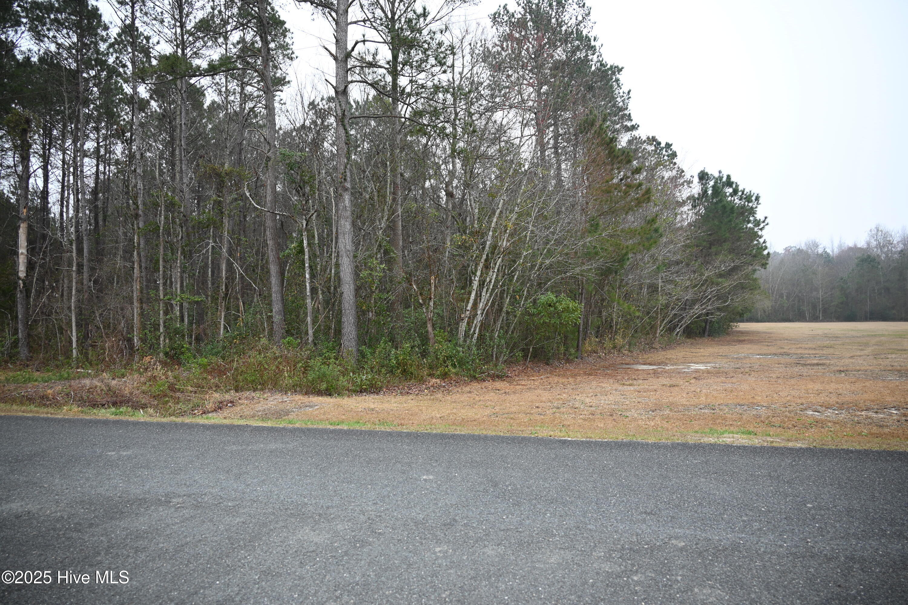 270 Long Leaf Hills Drive Property Photo 7