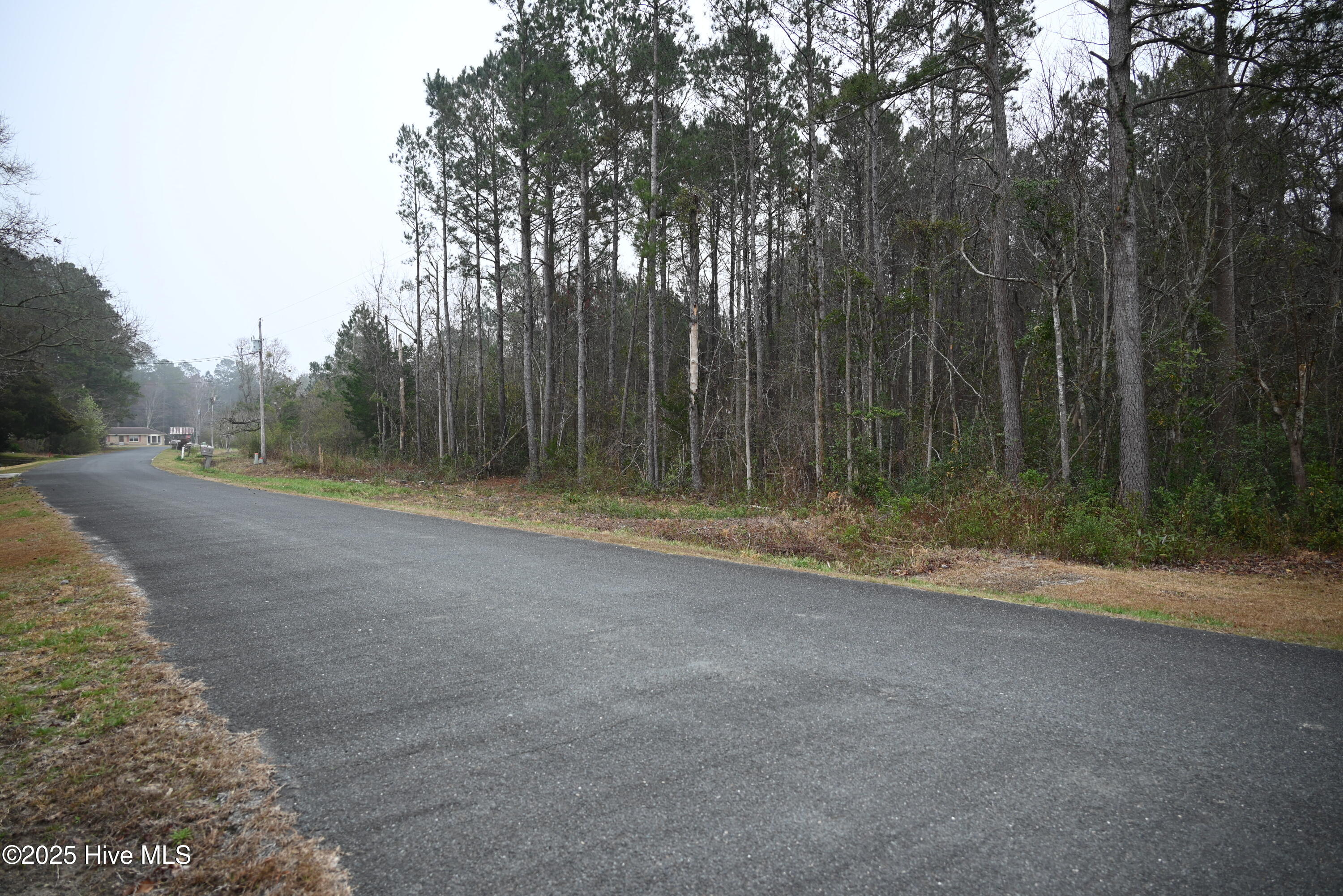 270 Long Leaf Hills Drive Property Photo 8