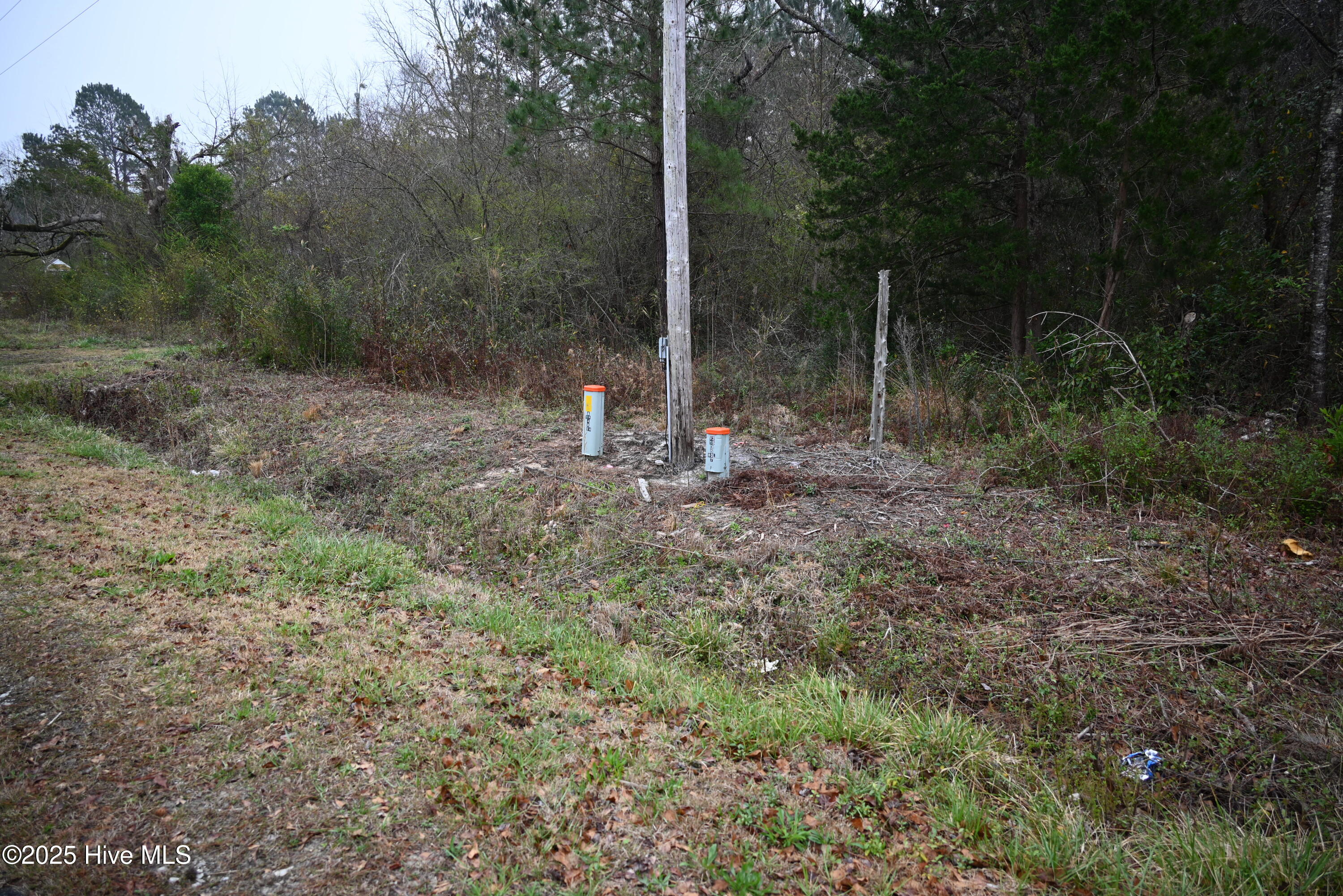 270 Long Leaf Hills Drive Property Photo 9