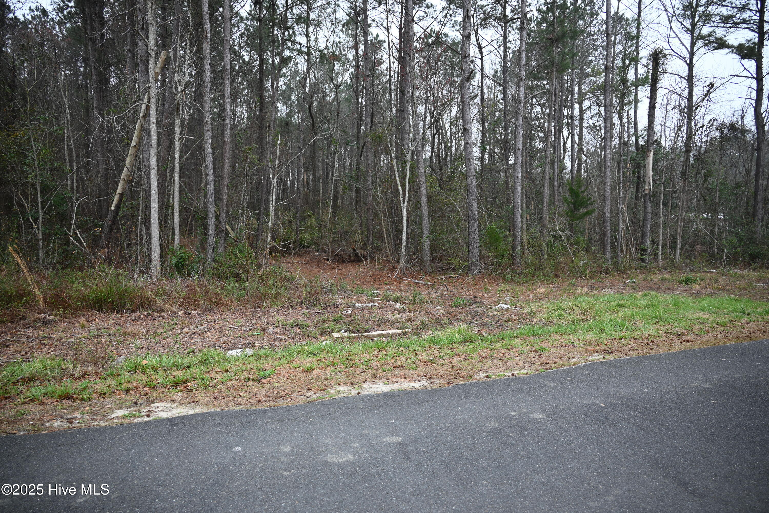 270 Long Leaf Hills Drive Property Photo 10