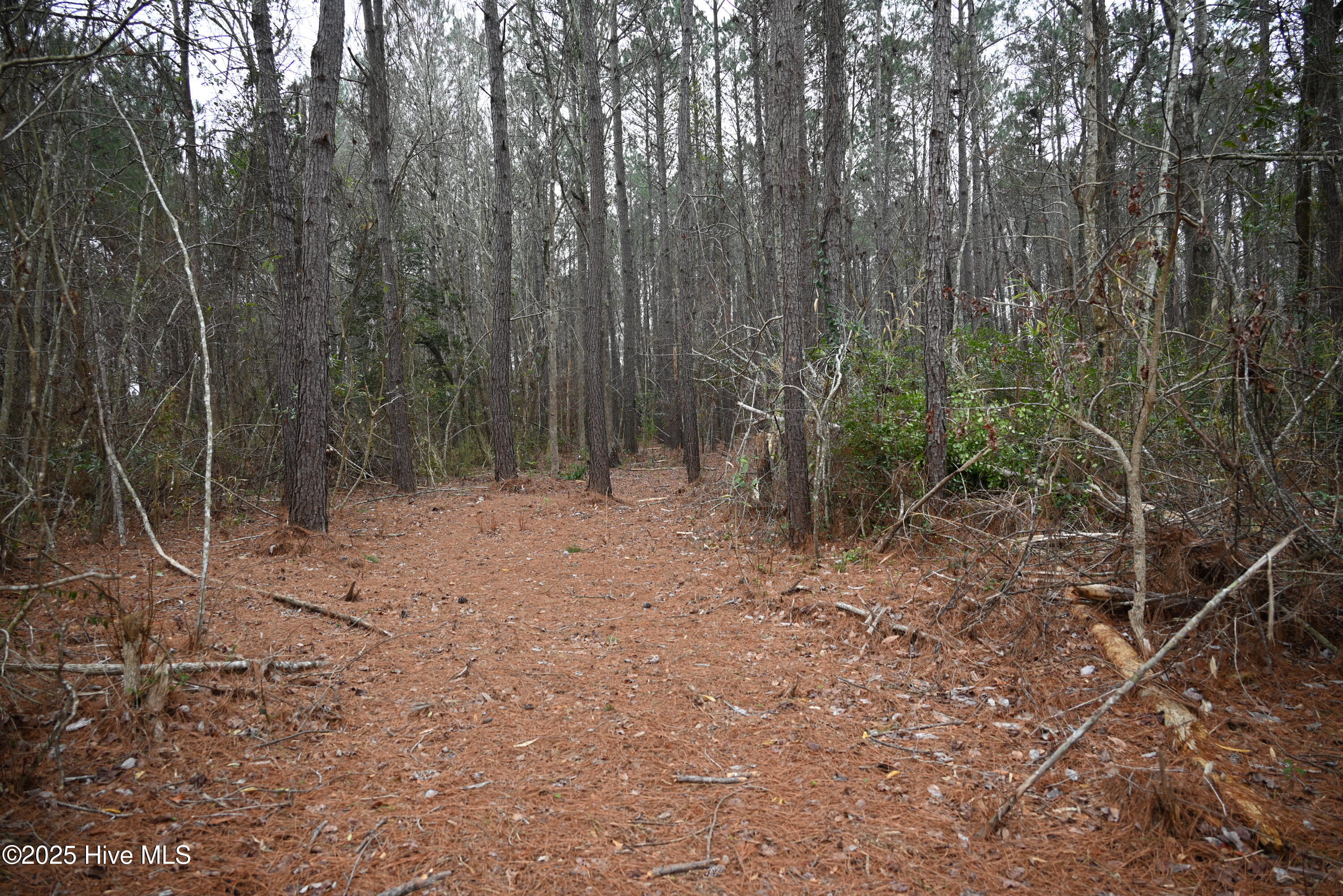 270 Long Leaf Hills Drive Property Photo 13