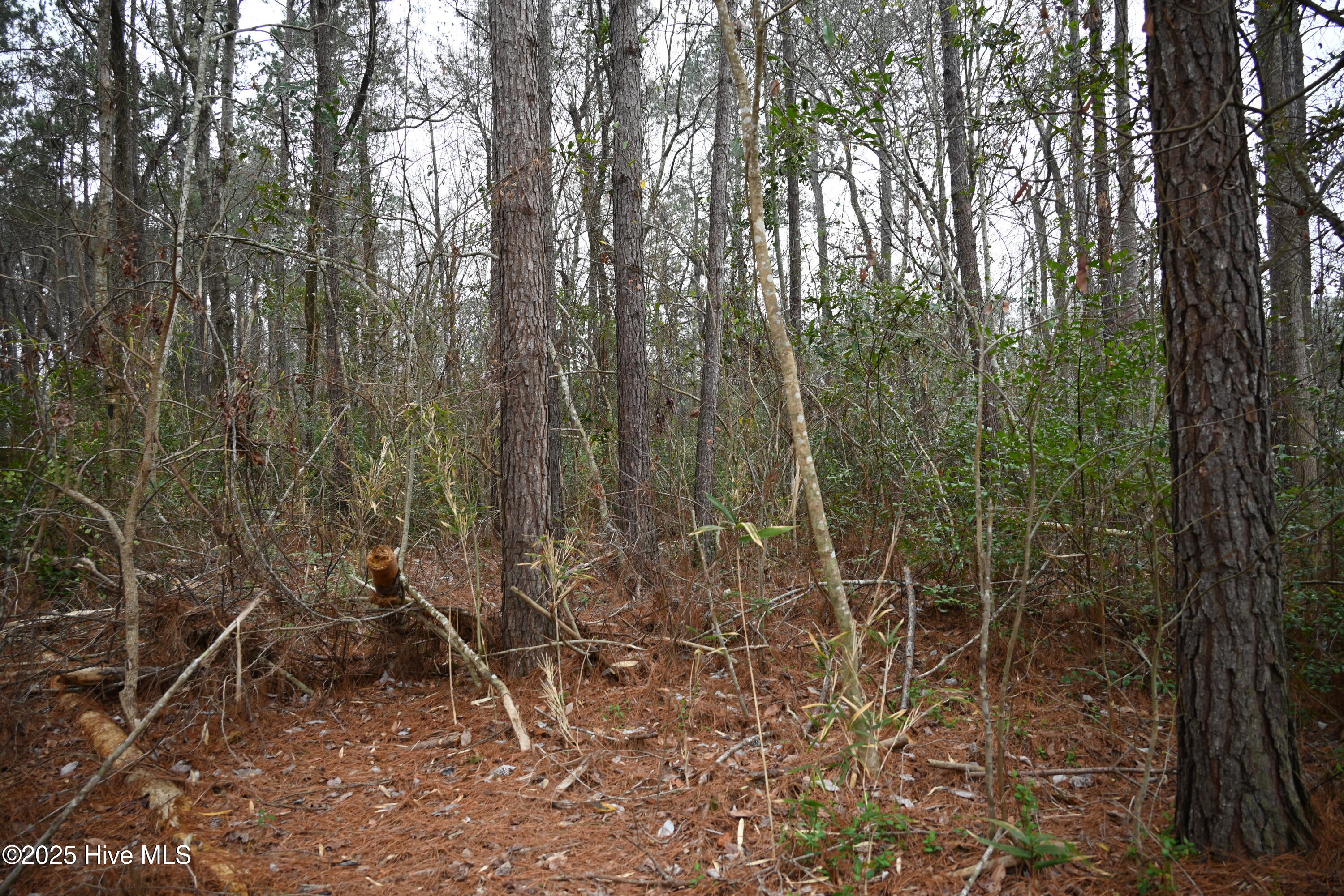 270 Long Leaf Hills Drive Property Photo 14
