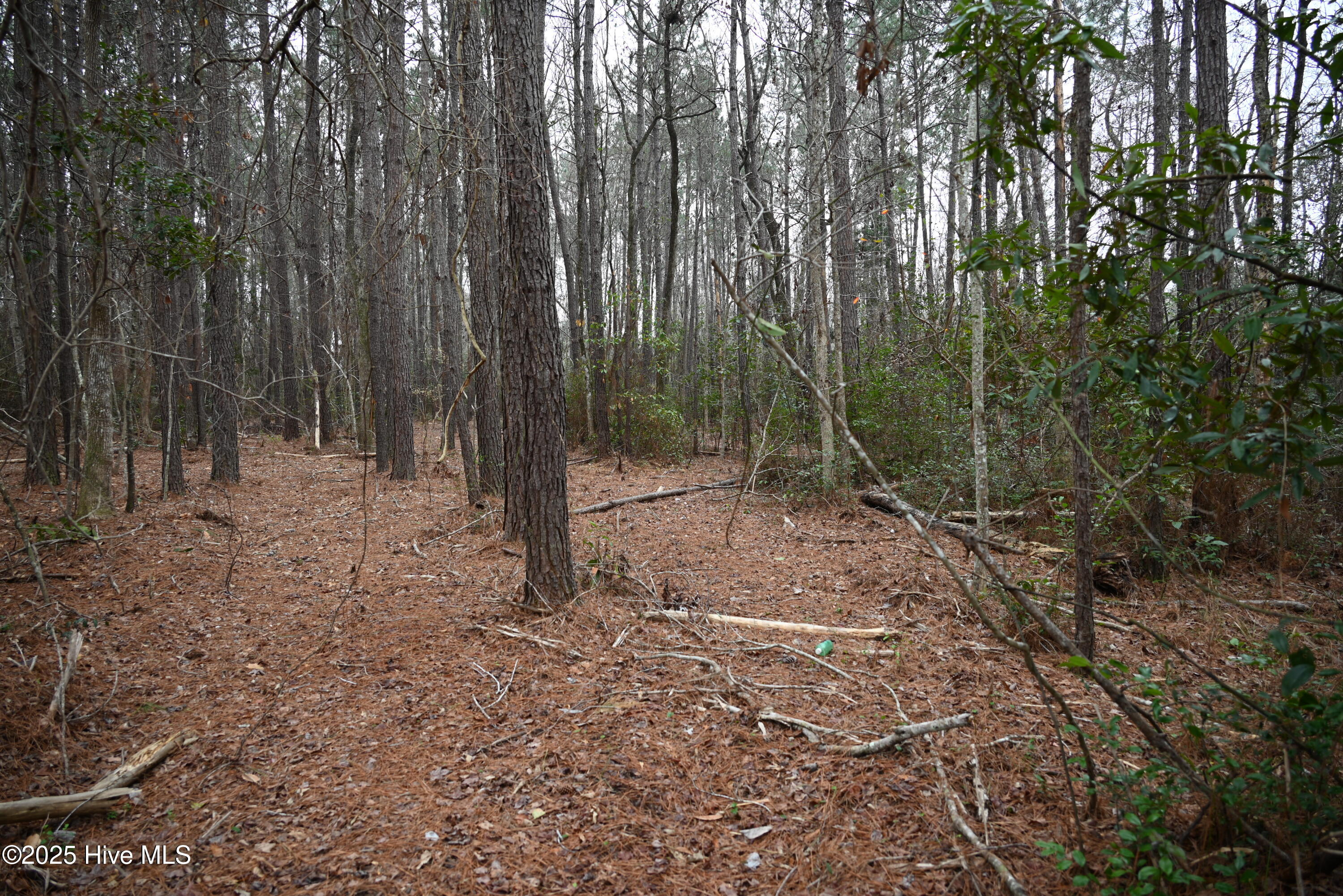 270 Long Leaf Hills Drive Property Photo 15