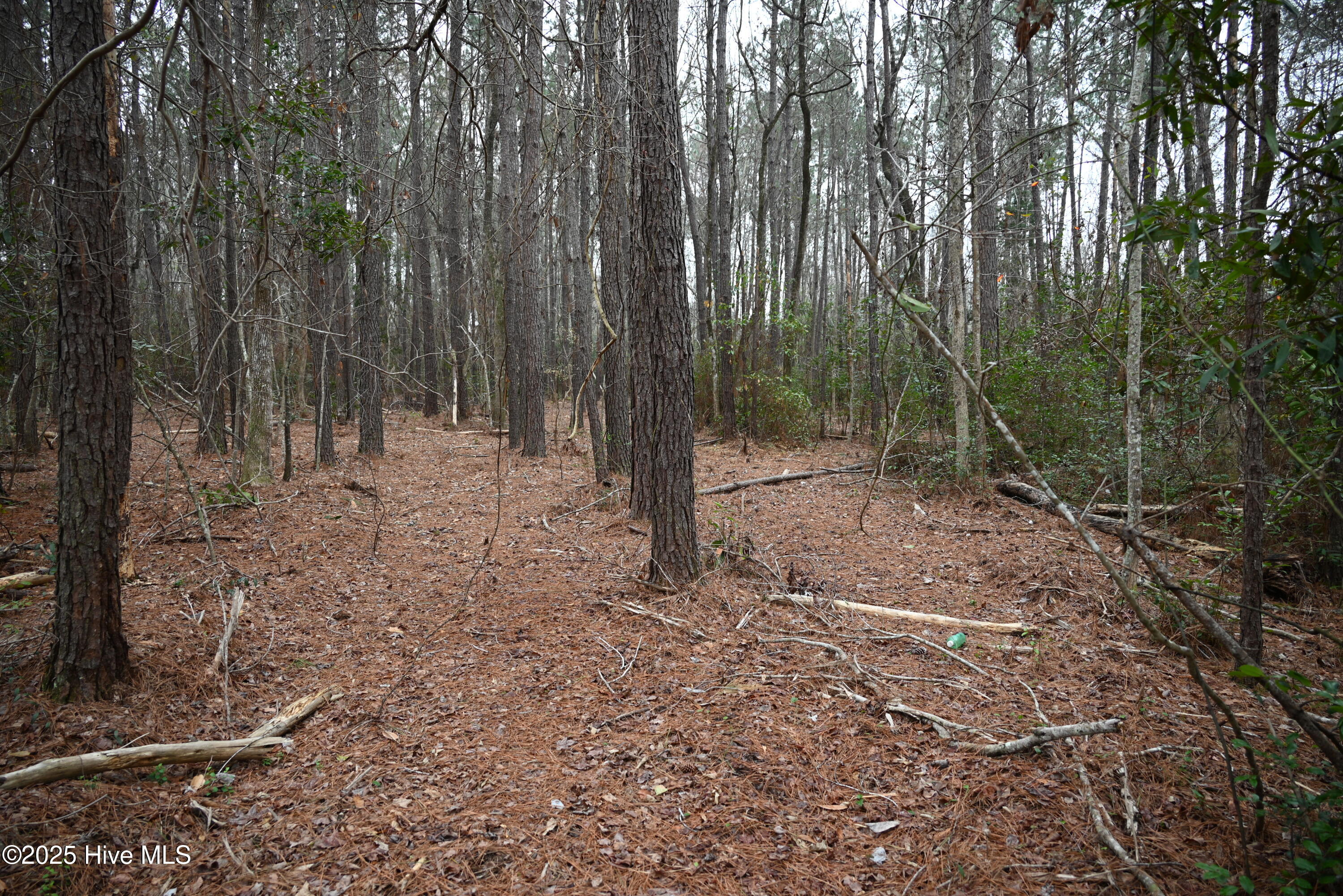270 Long Leaf Hills Drive Property Photo 16