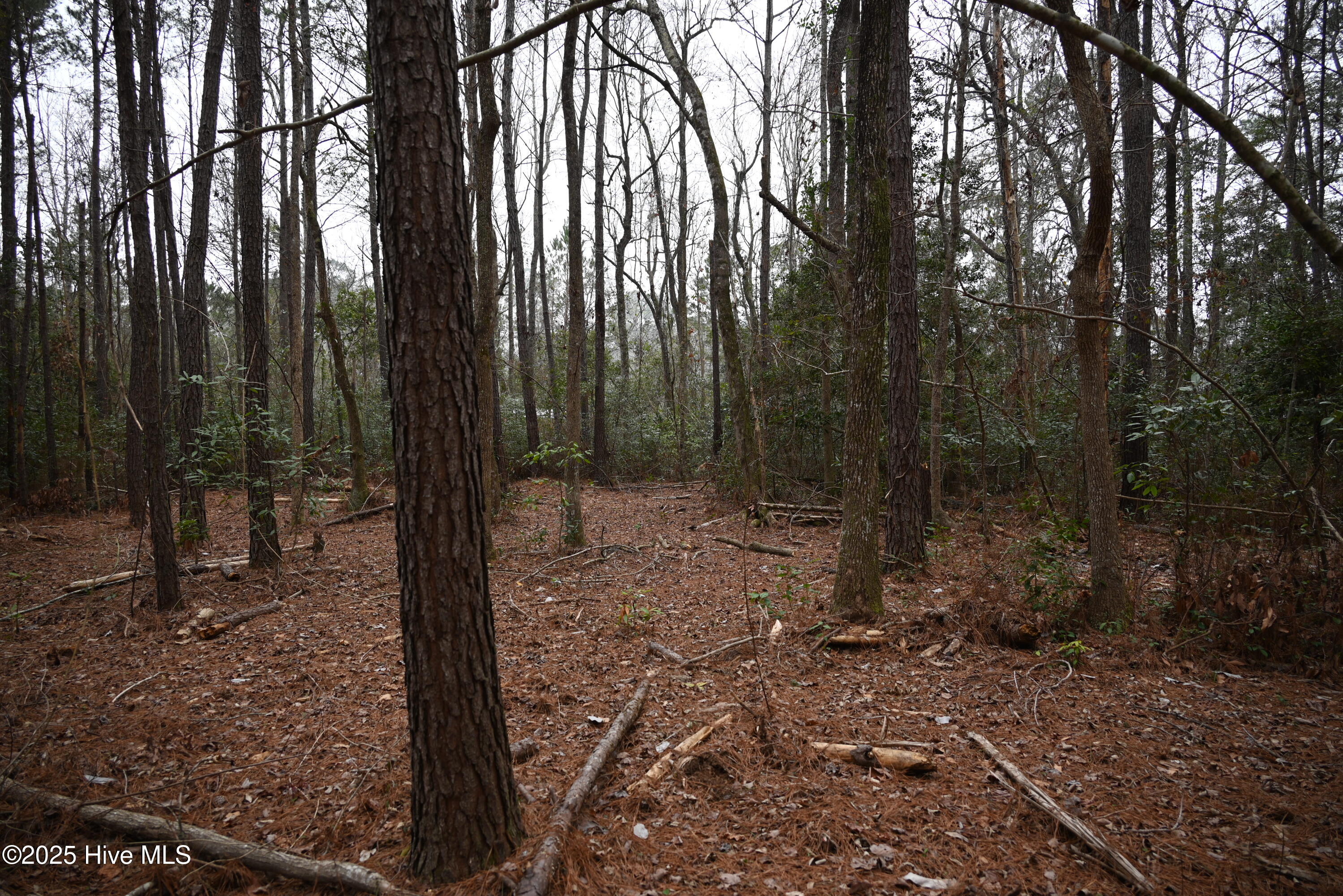 270 Long Leaf Hills Drive Property Photo 17