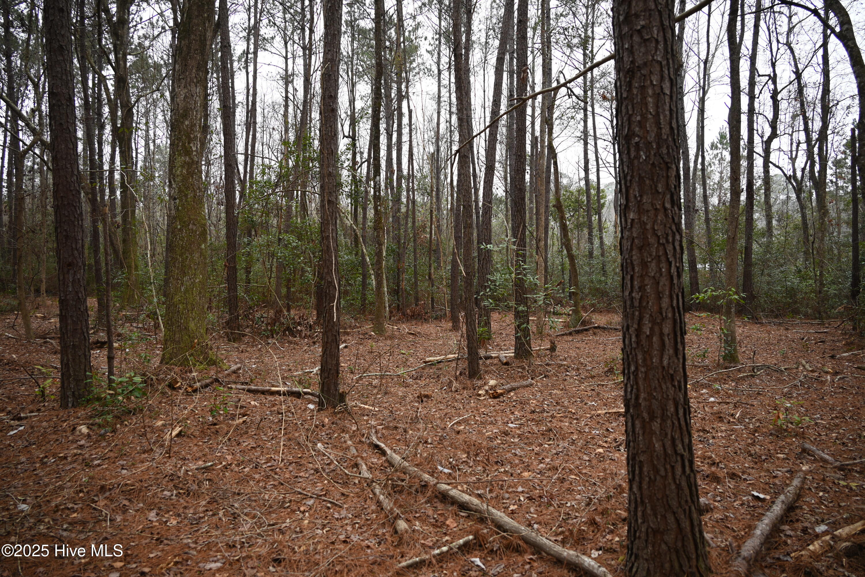 270 Long Leaf Hills Drive Property Photo 18