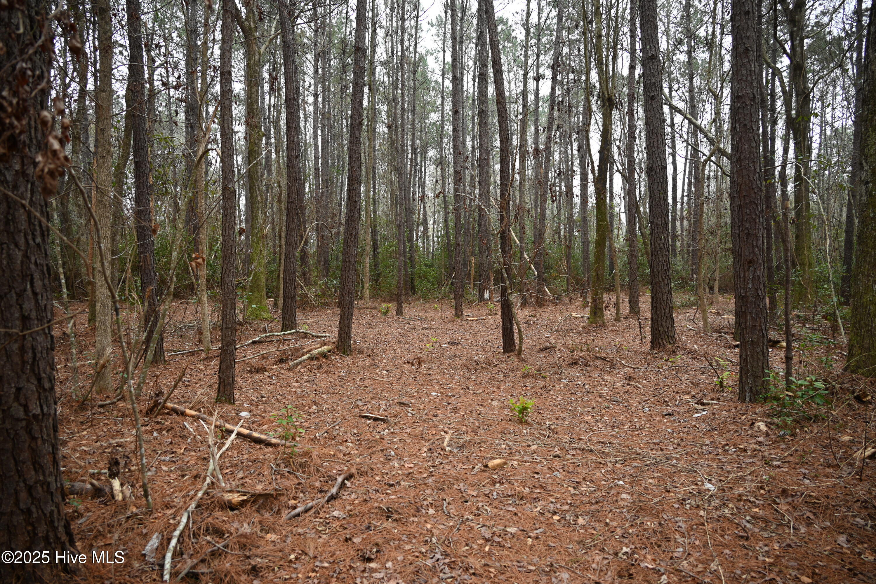 270 Long Leaf Hills Drive Property Photo 20