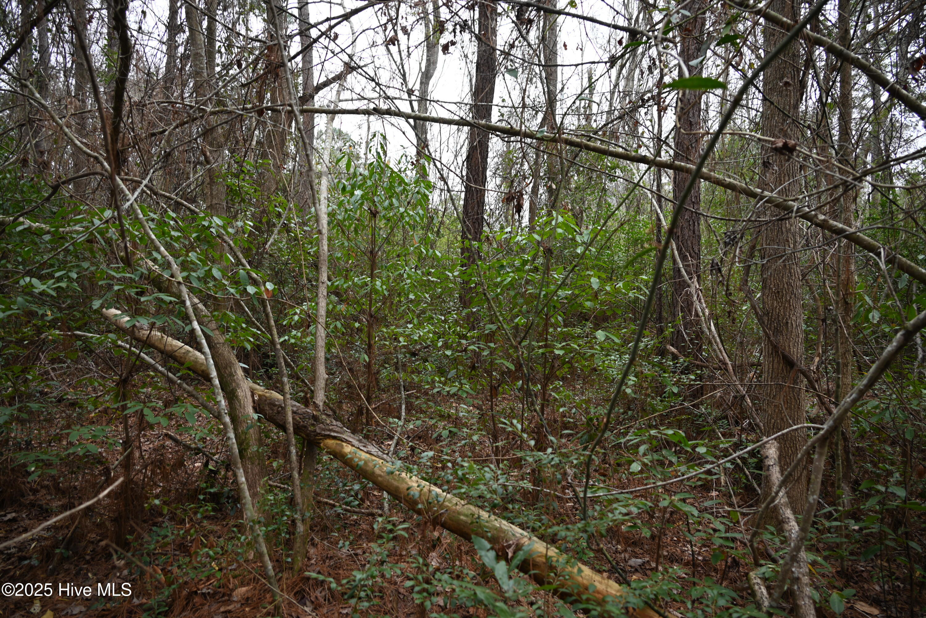 270 Long Leaf Hills Drive Property Photo 21
