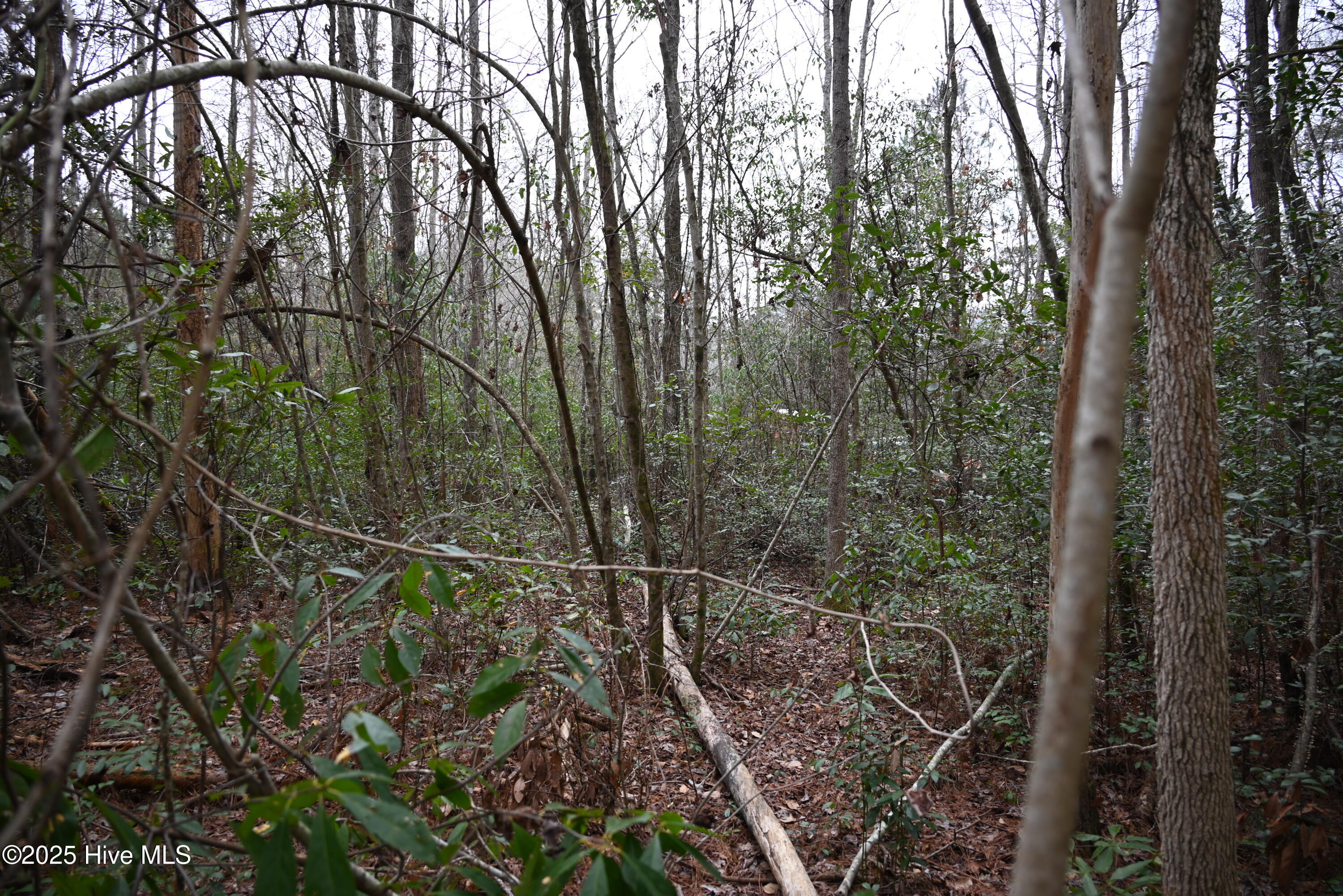 270 Long Leaf Hills Drive Property Photo 22