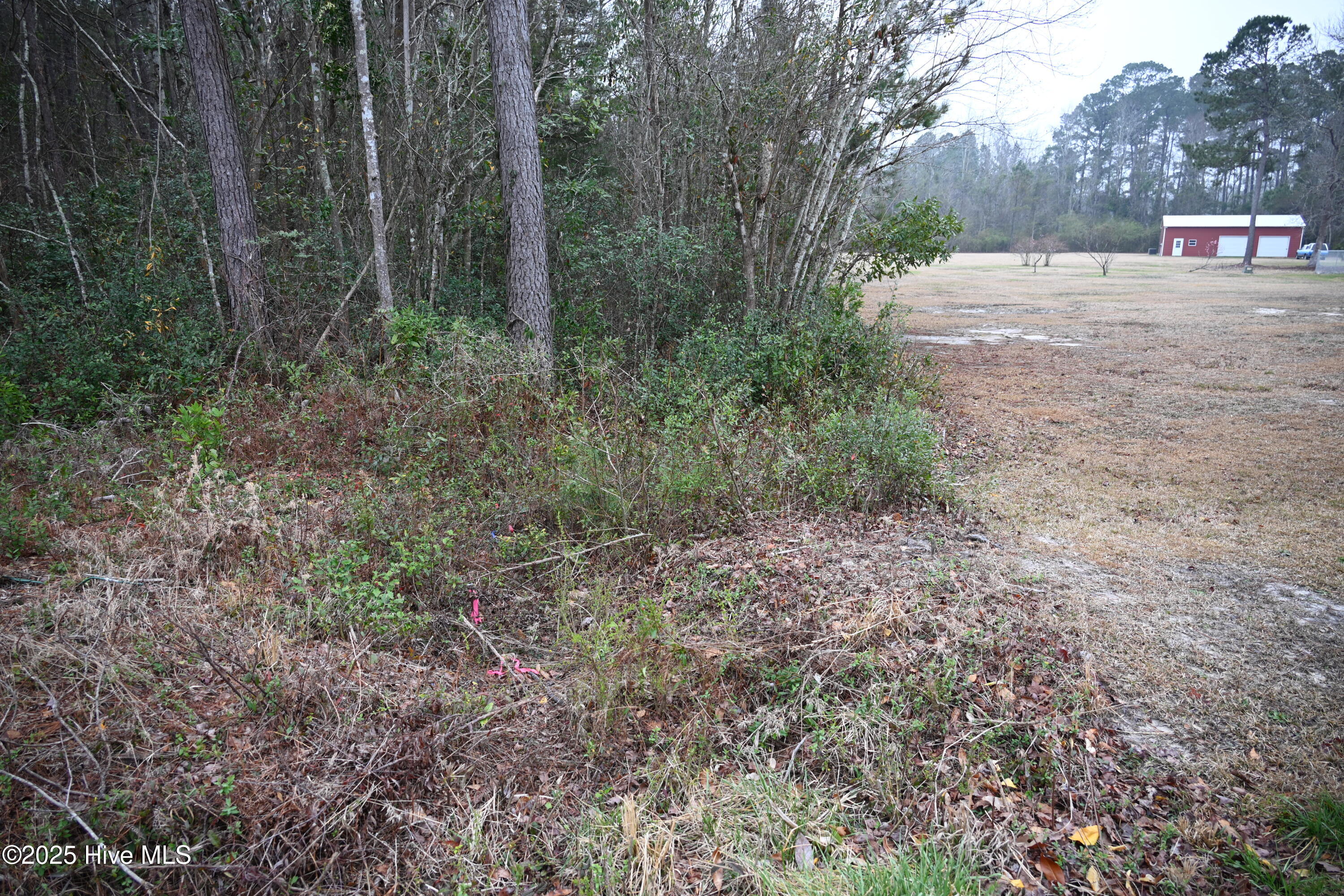 270 Long Leaf Hills Drive Property Photo 24