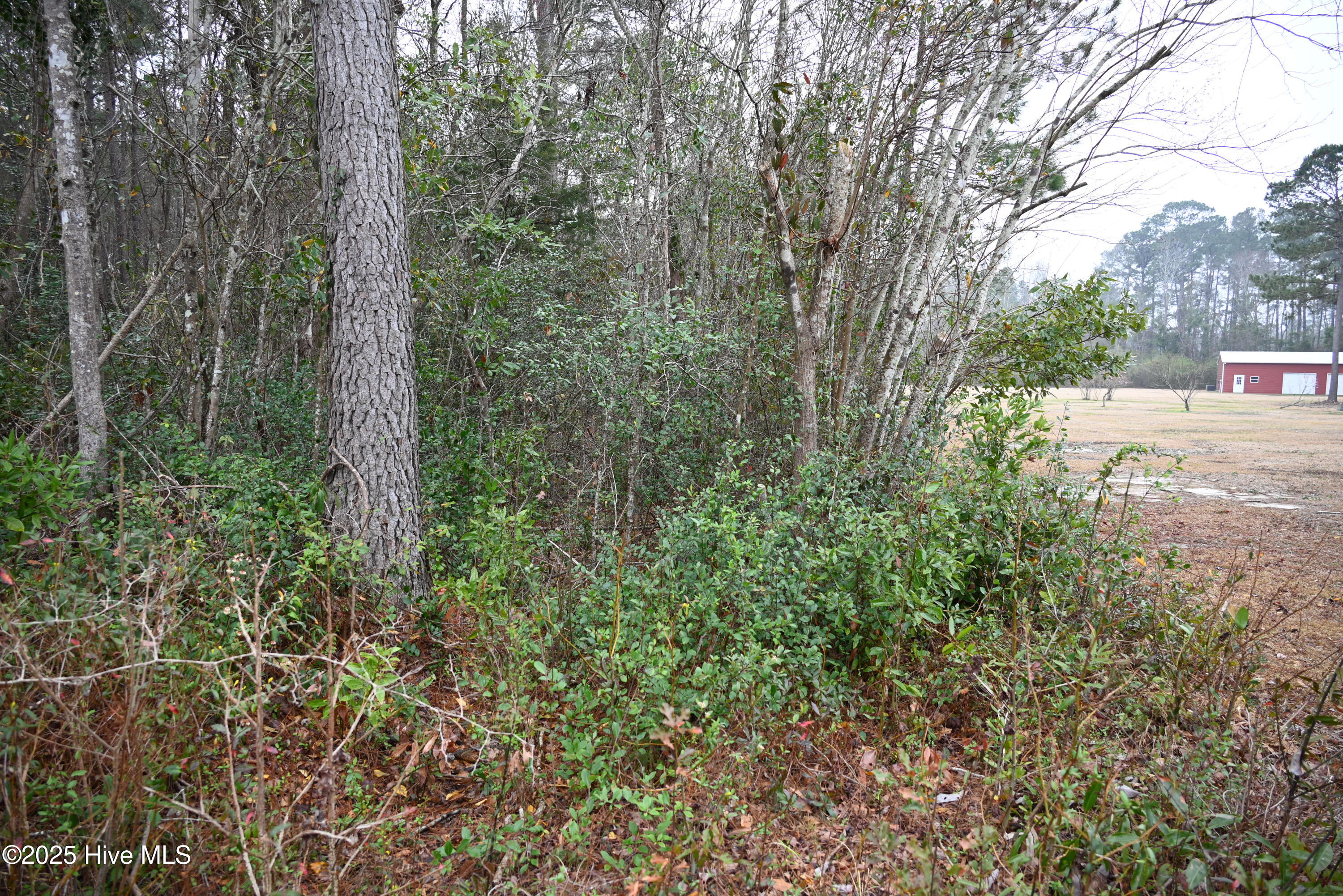 270 Long Leaf Hills Drive Property Photo 25