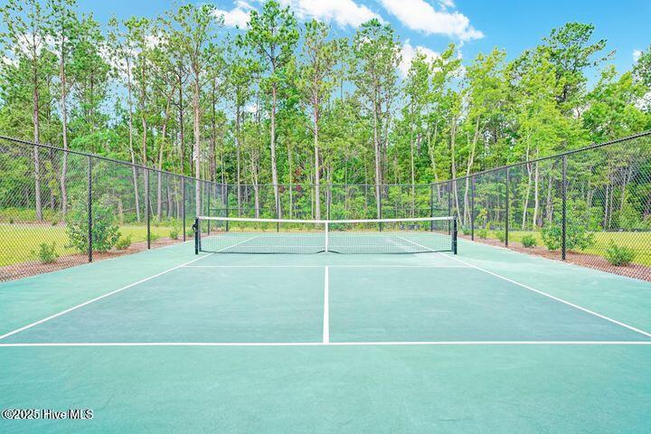 1524 Pleasant Hollow Court Property Photo 44