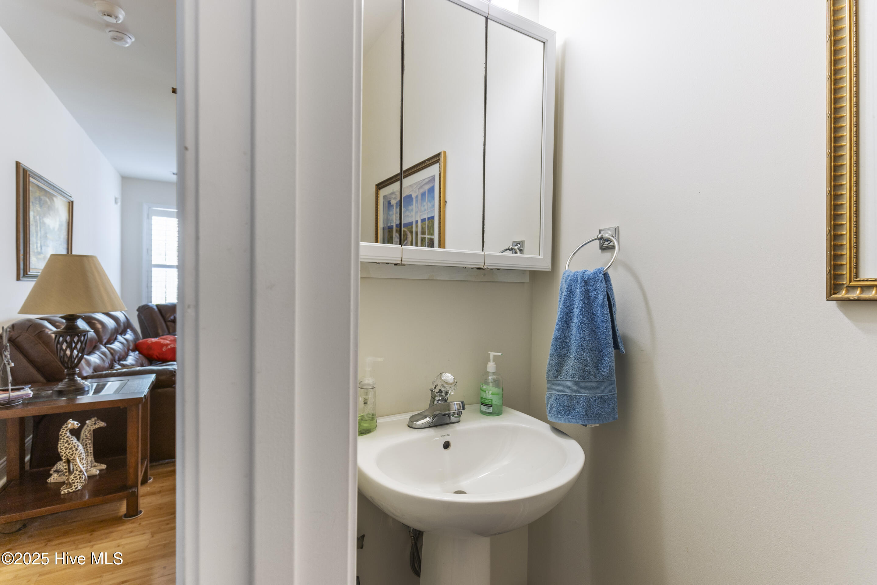 256 Downing Glen Place Property Photo 19