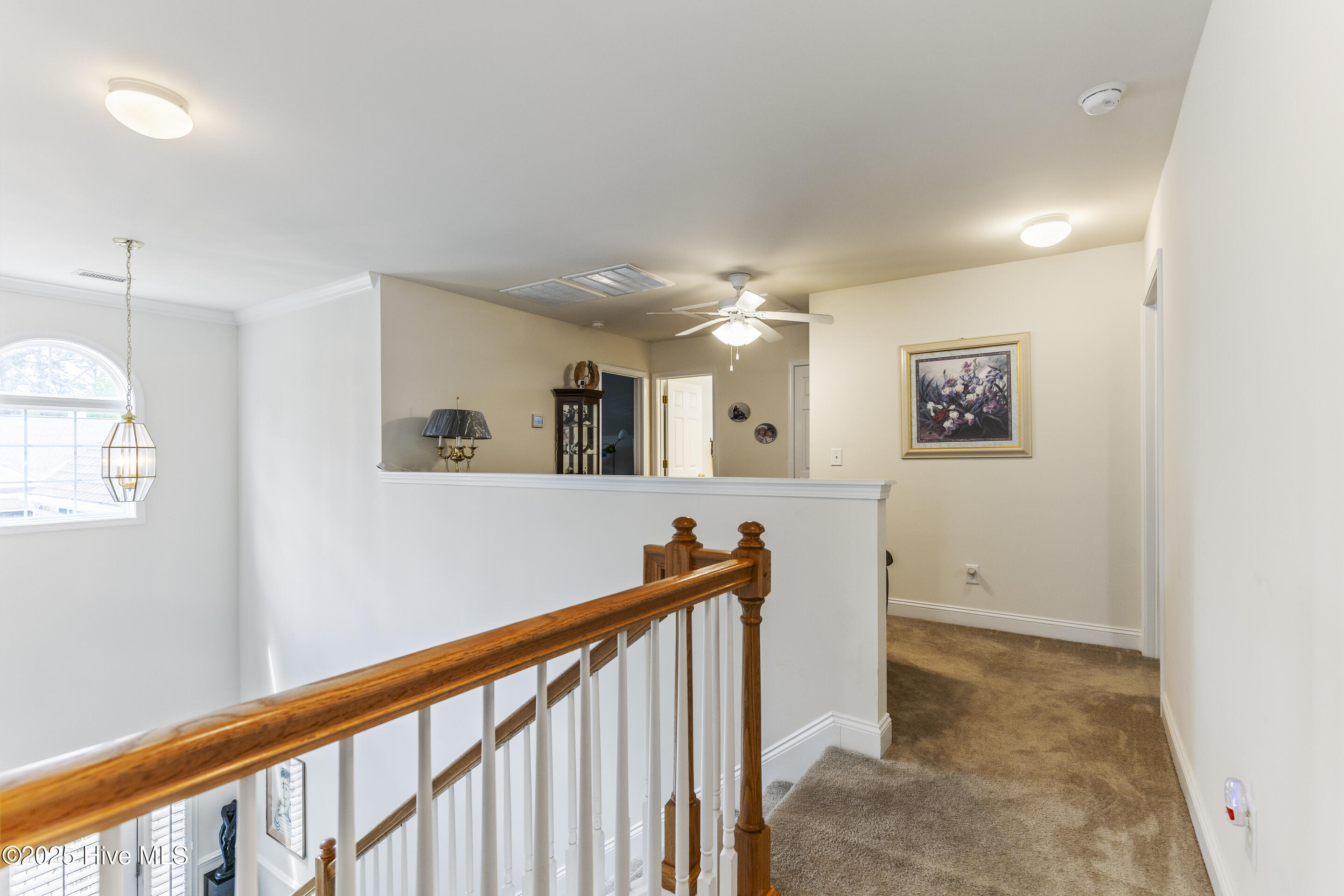 256 Downing Glen Place Property Photo 29