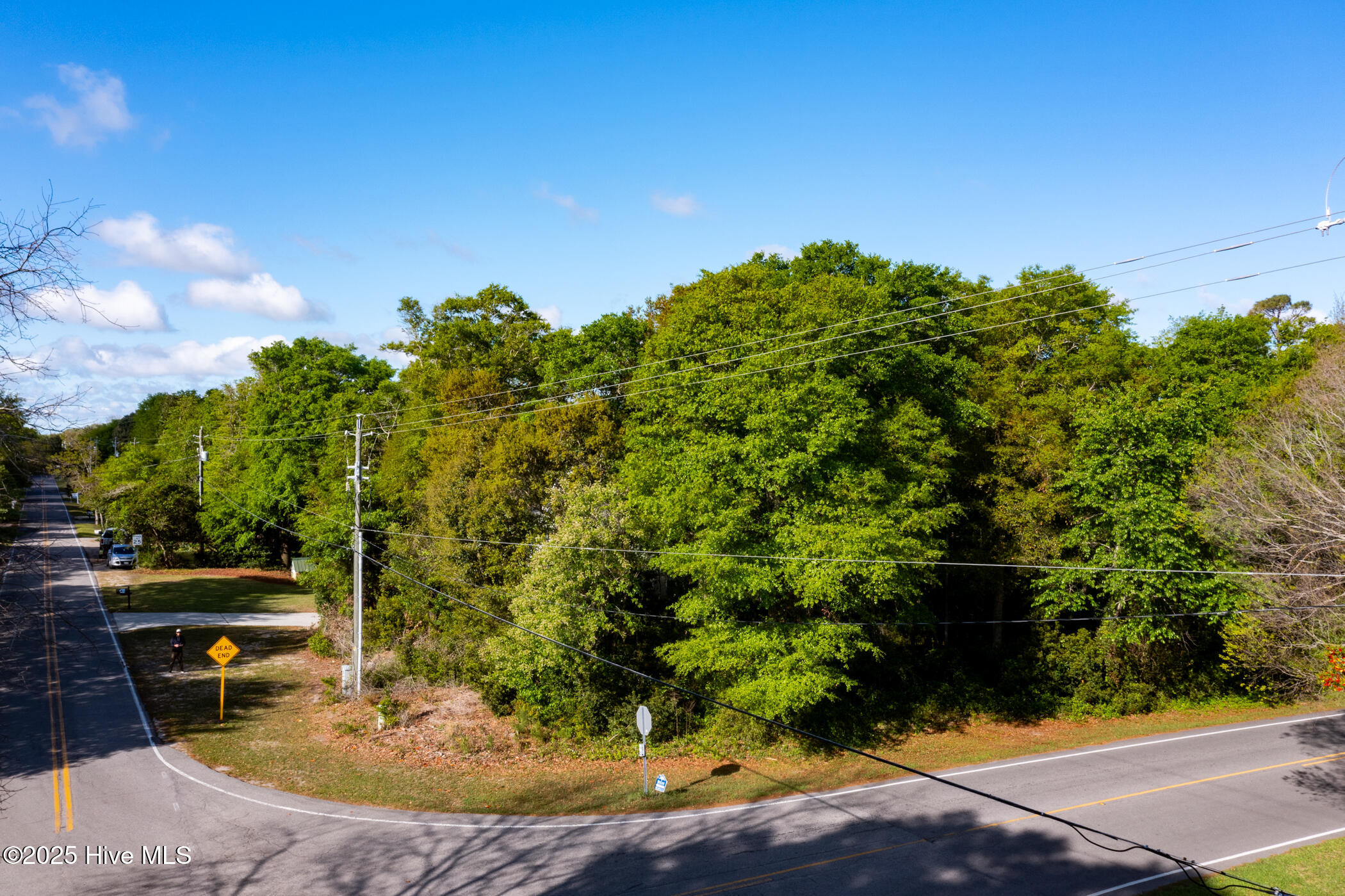 8233 Bald Eagle Lane Property Photo 5