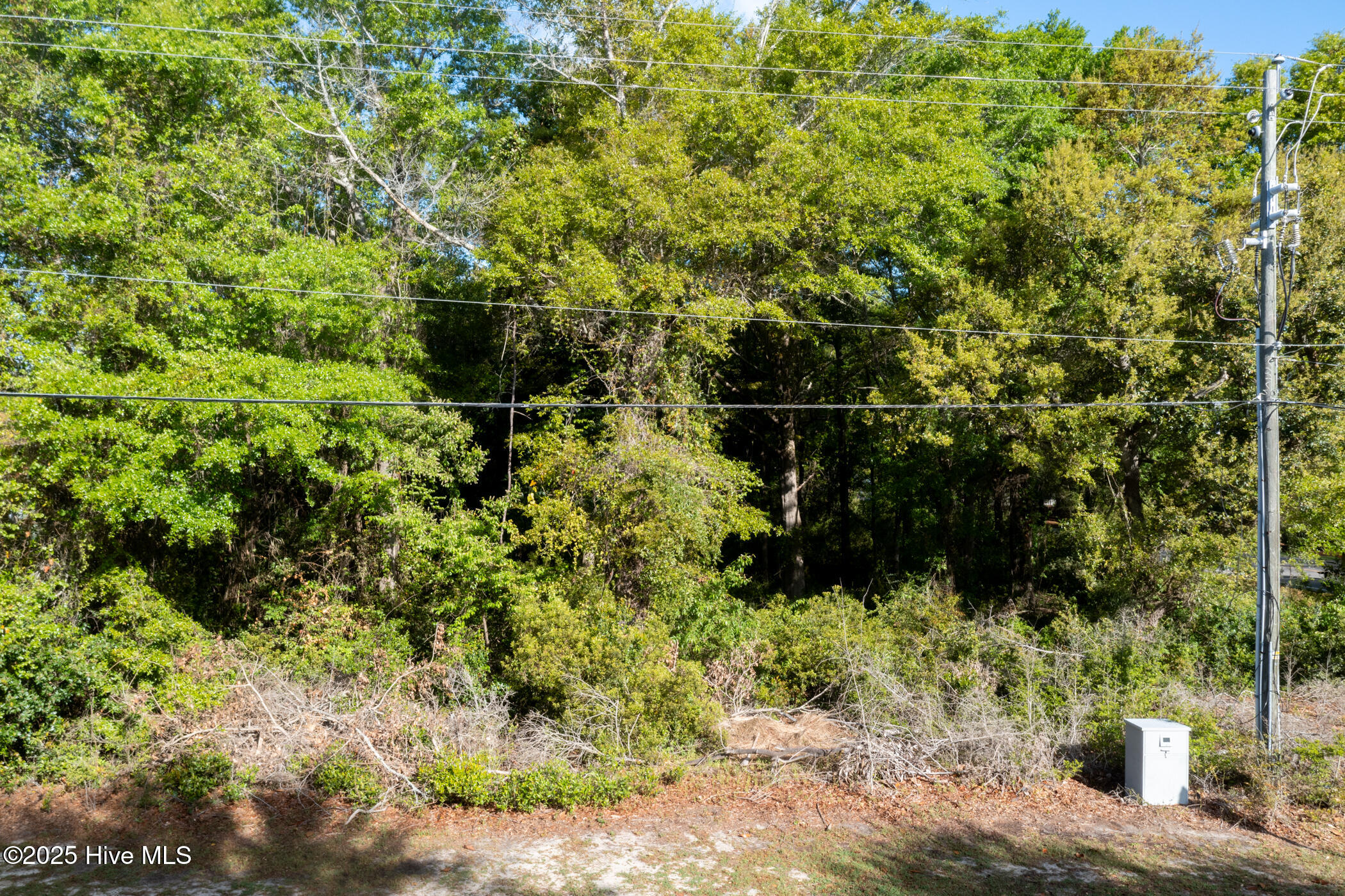 8233 Bald Eagle Lane Property Photo 10