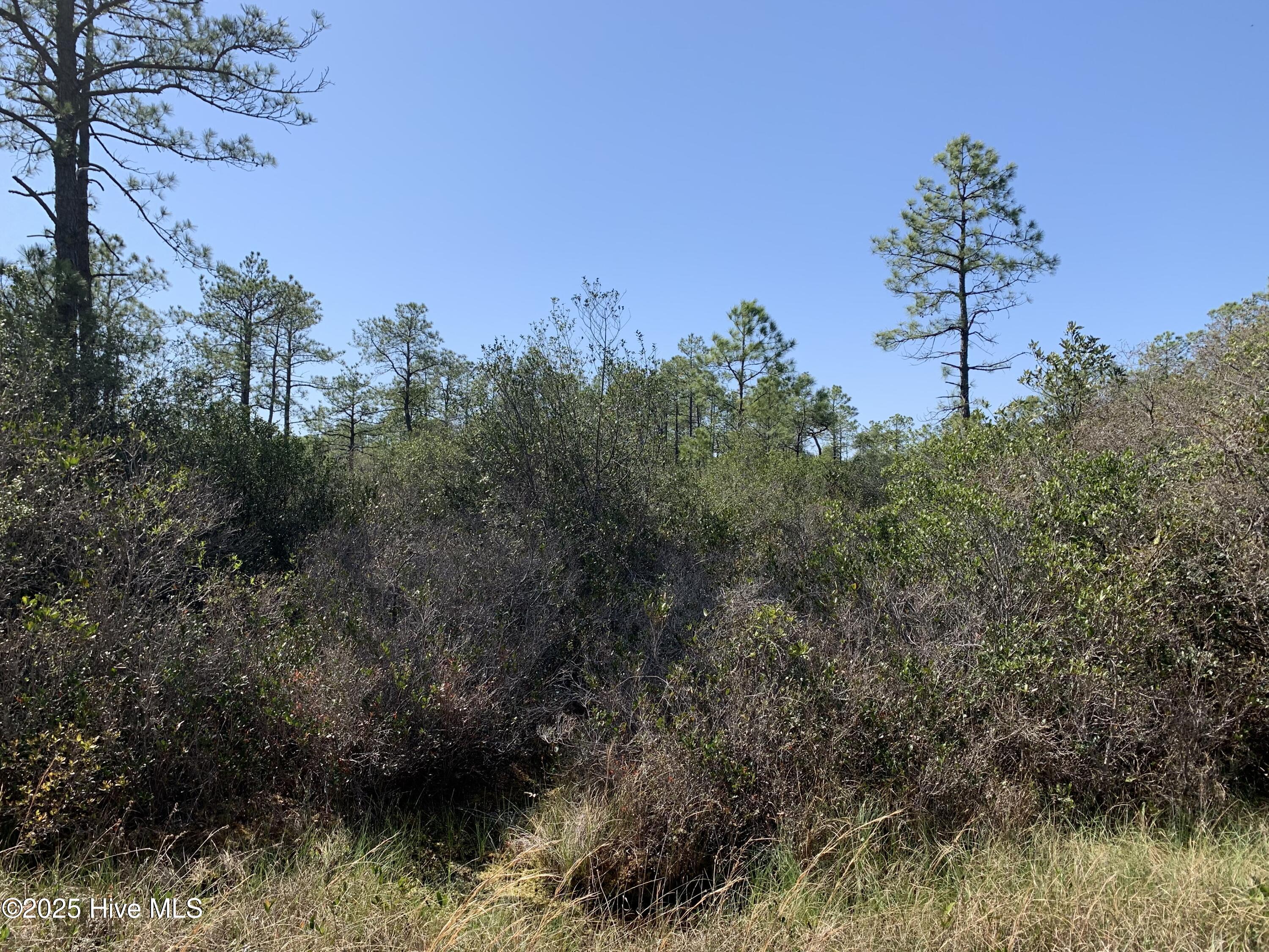 Lot 149 Bermuda Road Property Photo 1