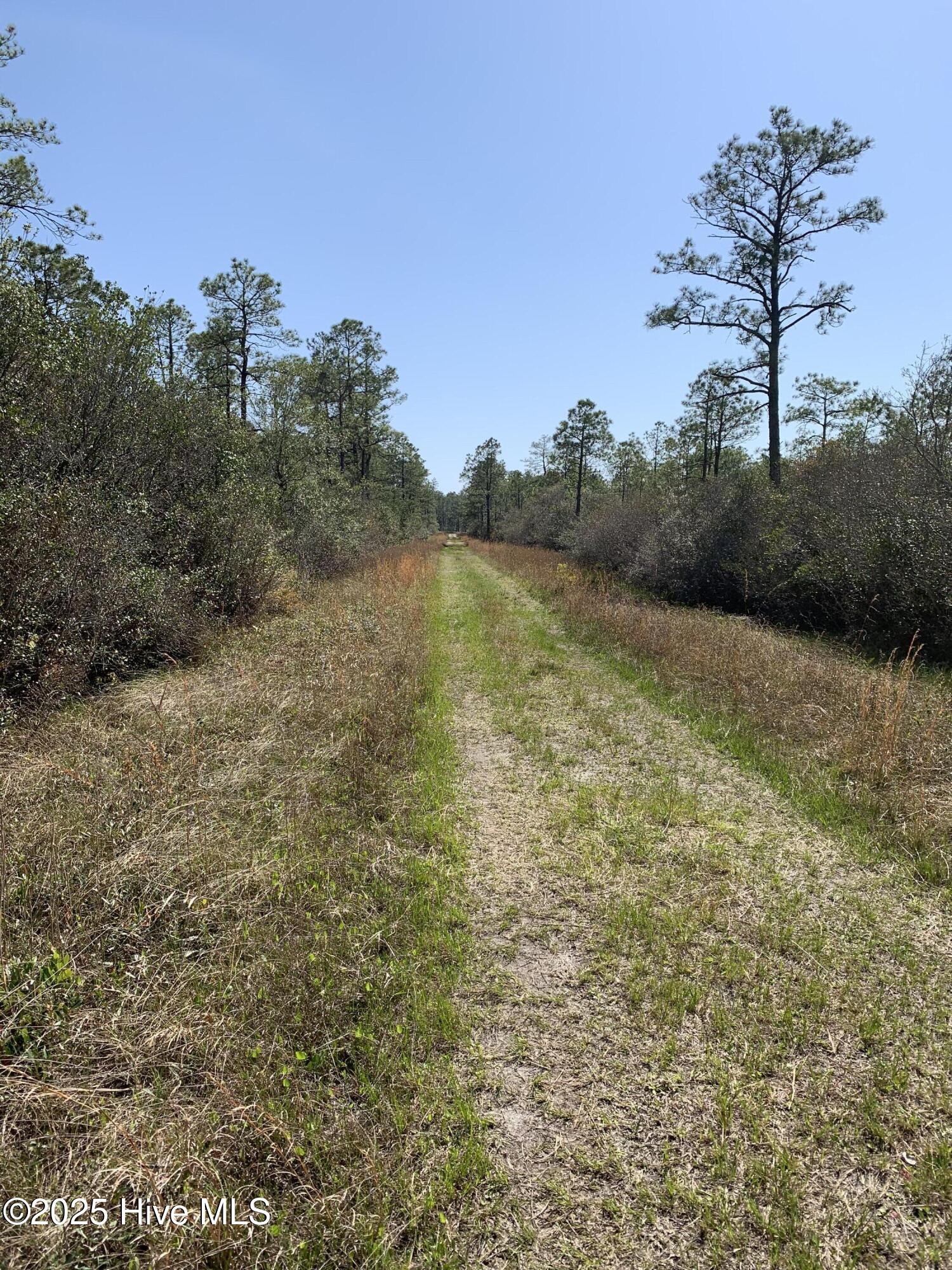 Lot 149 Bermuda Road Property Photo 4