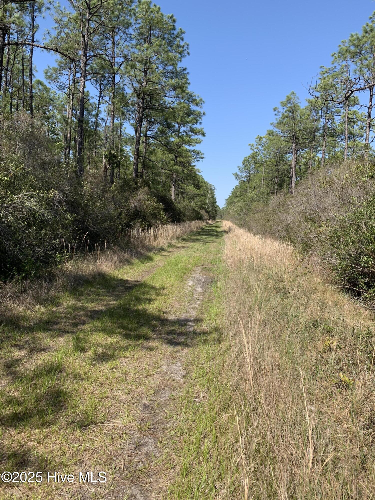 Lot 149 Bermuda Road Property Photo 6