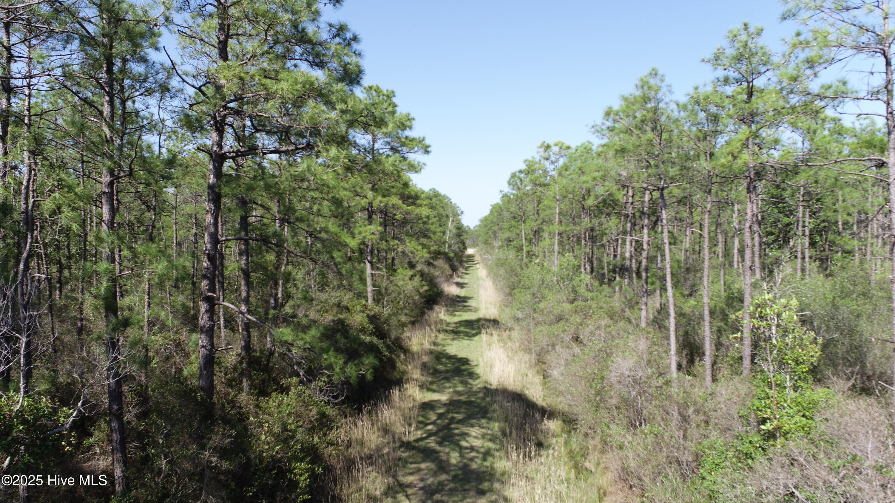 Lot 149 Bermuda Road Property Photo 7