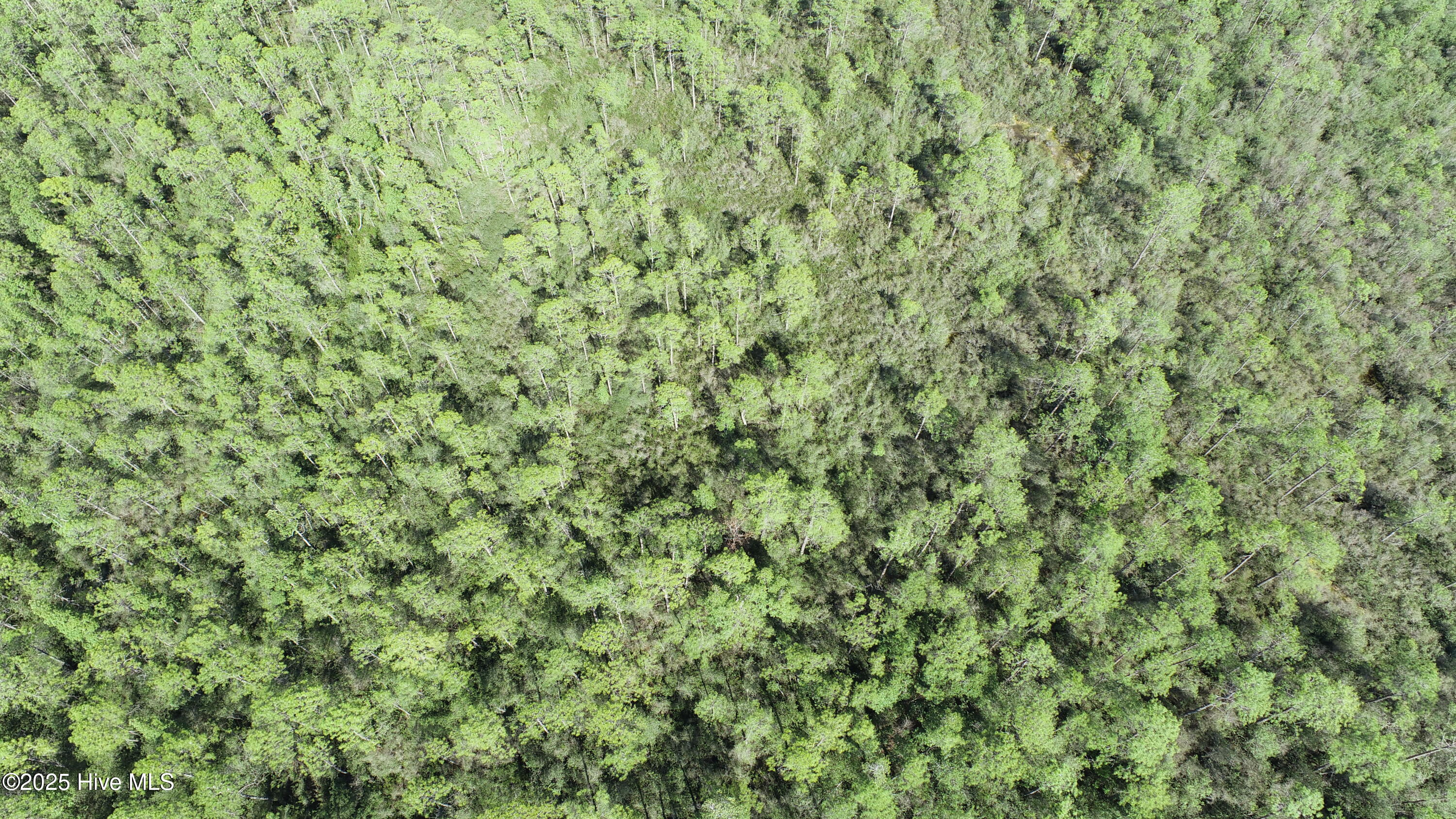 Lot 149 Bermuda Road Property Photo 17