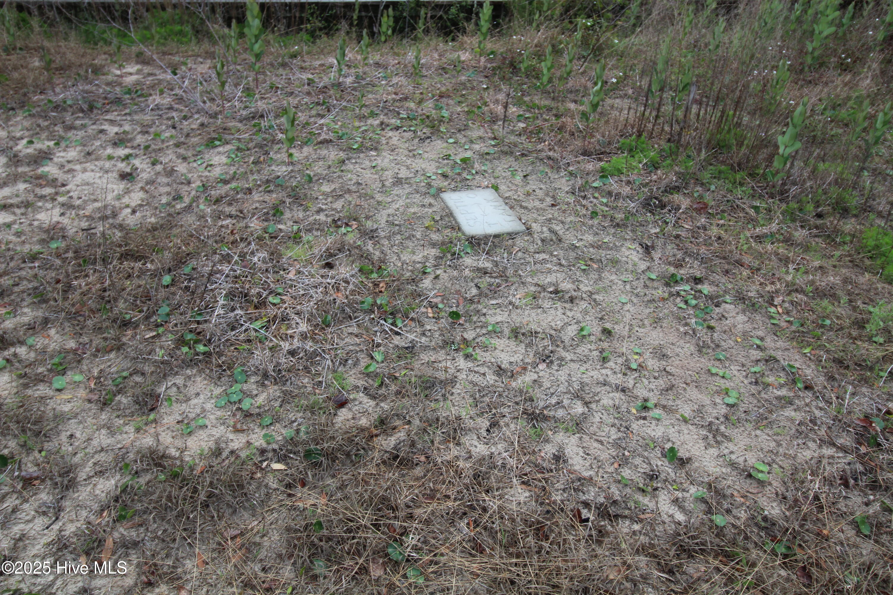 10510 Coast Guard Road Property Photo 5
