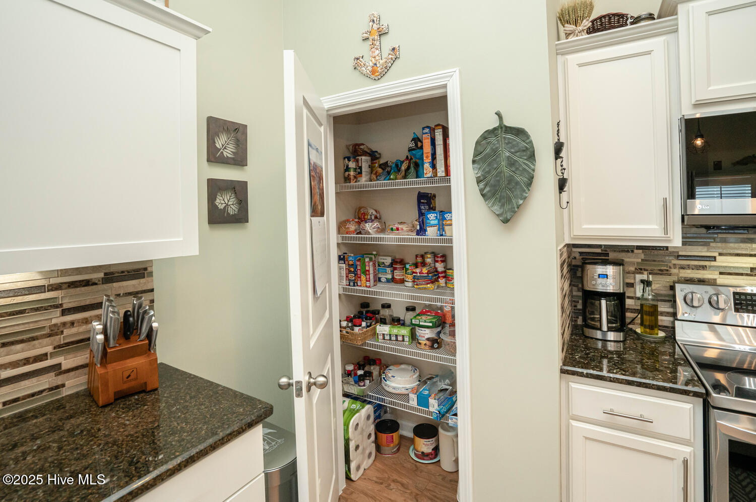 1055 Chadsey Lake Drive Property Photo 17