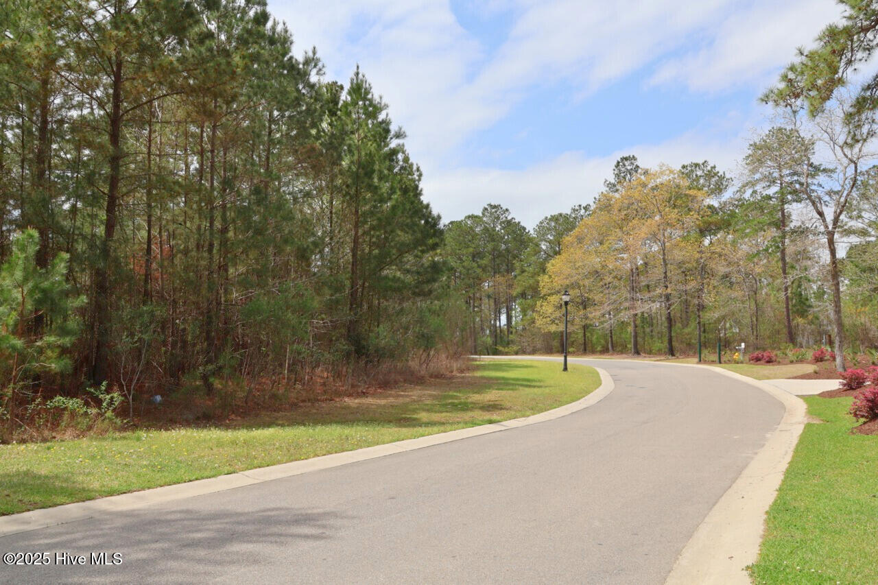 9319 Fallen Pear Lane Property Photo 1