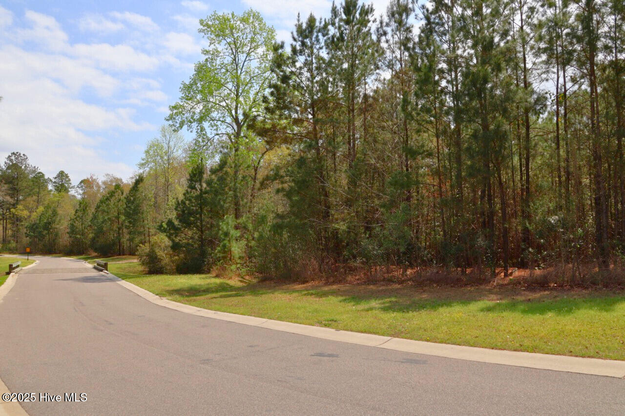 9319 Fallen Pear Lane Property Photo 2