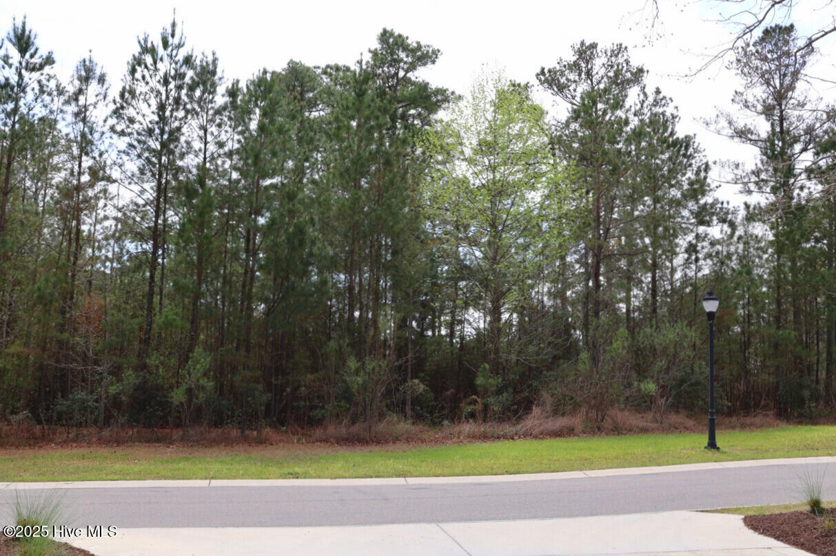 9319 Fallen Pear Lane Property Photo 4