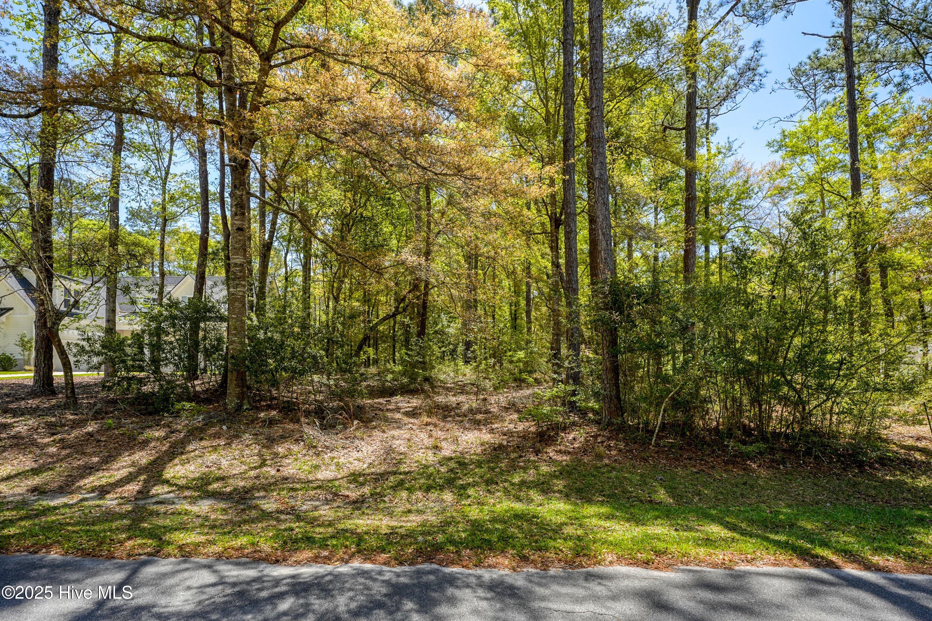 1828 Harbour Edge Lane Property Photo 4