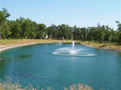 1828 Harbour Edge Lane Property Photo 26