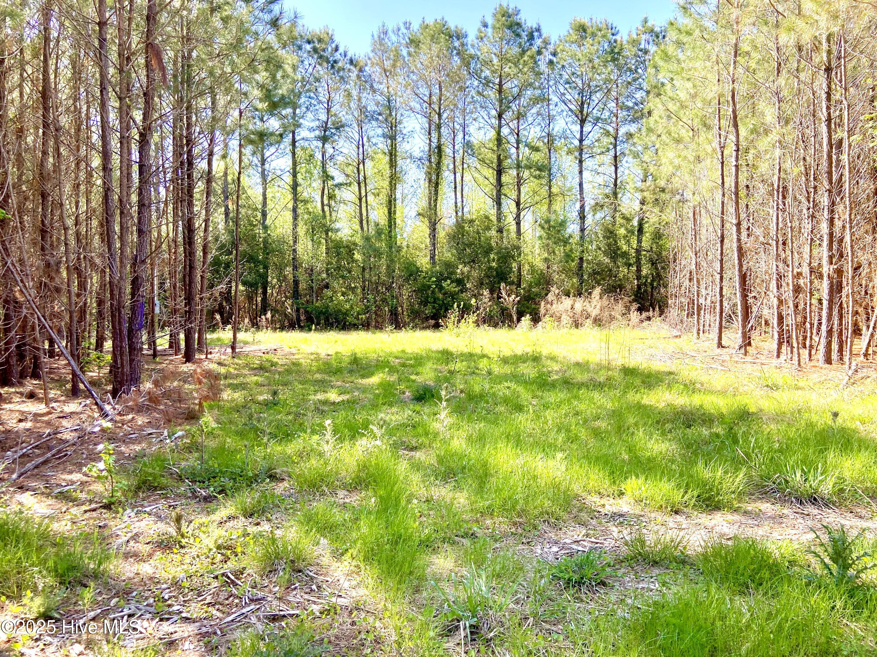 551 Berrys Creek Road Property Photo 1