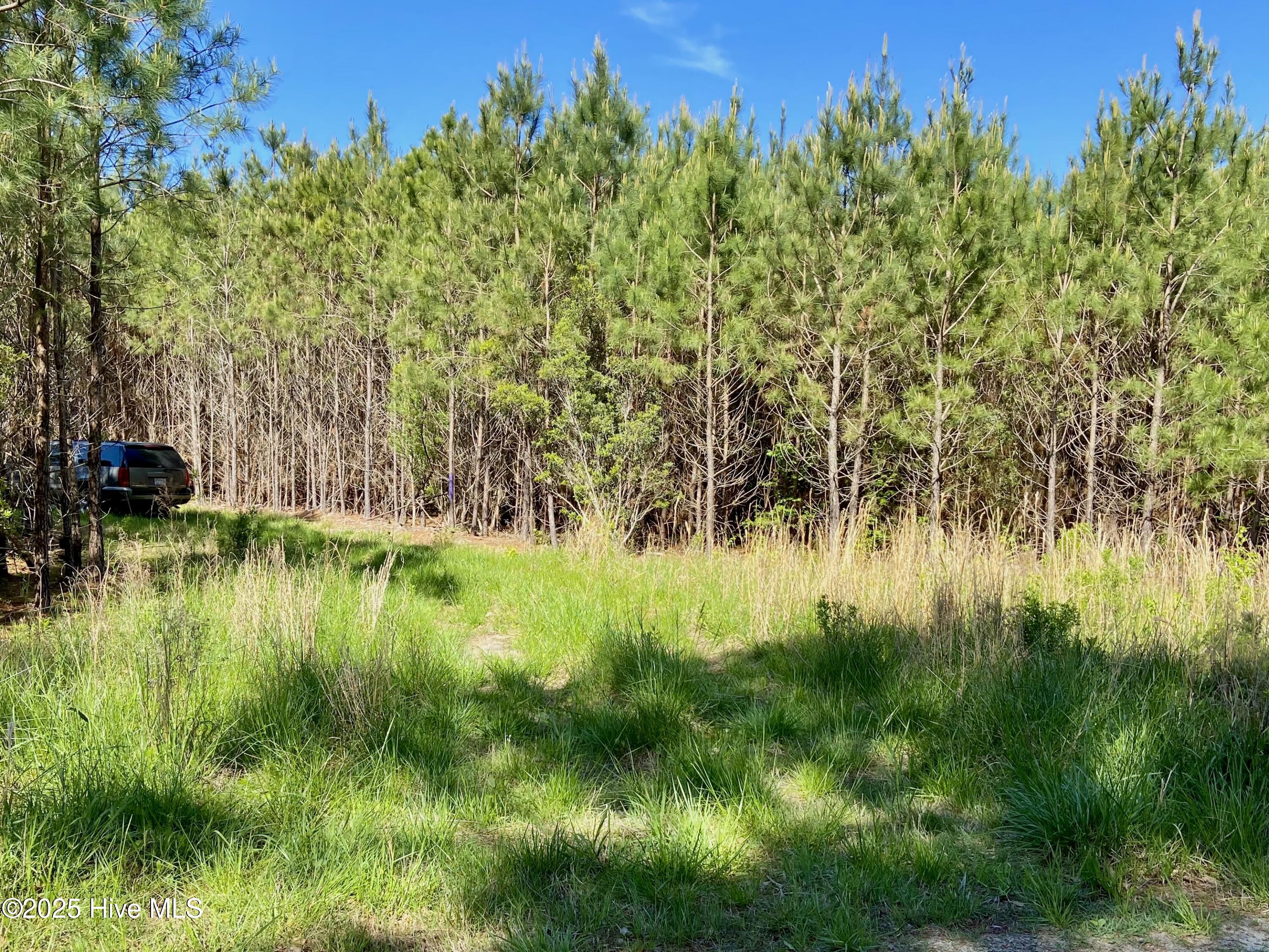 551 Berrys Creek Road Property Photo 3
