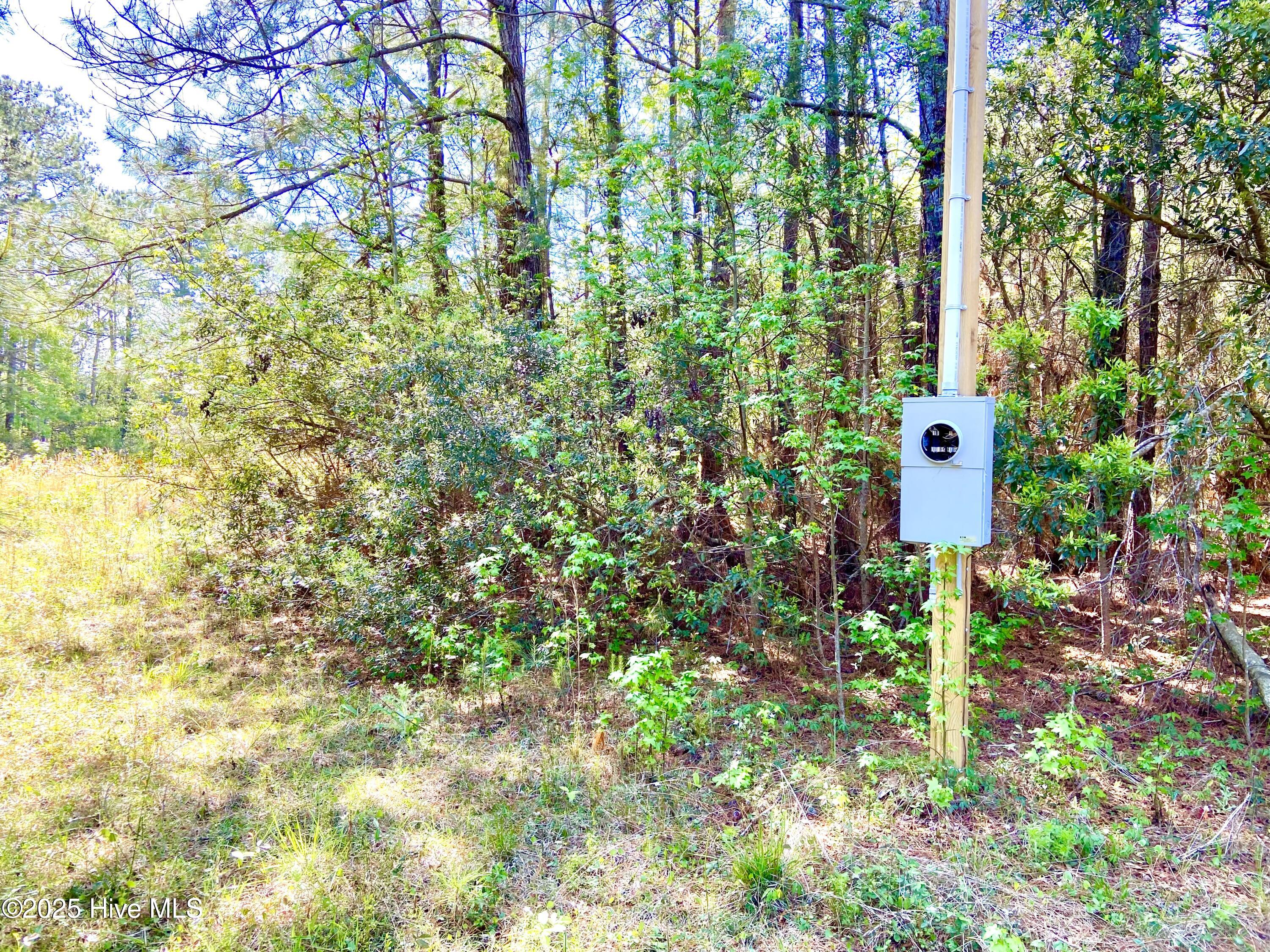 551 Berrys Creek Road Property Photo 4