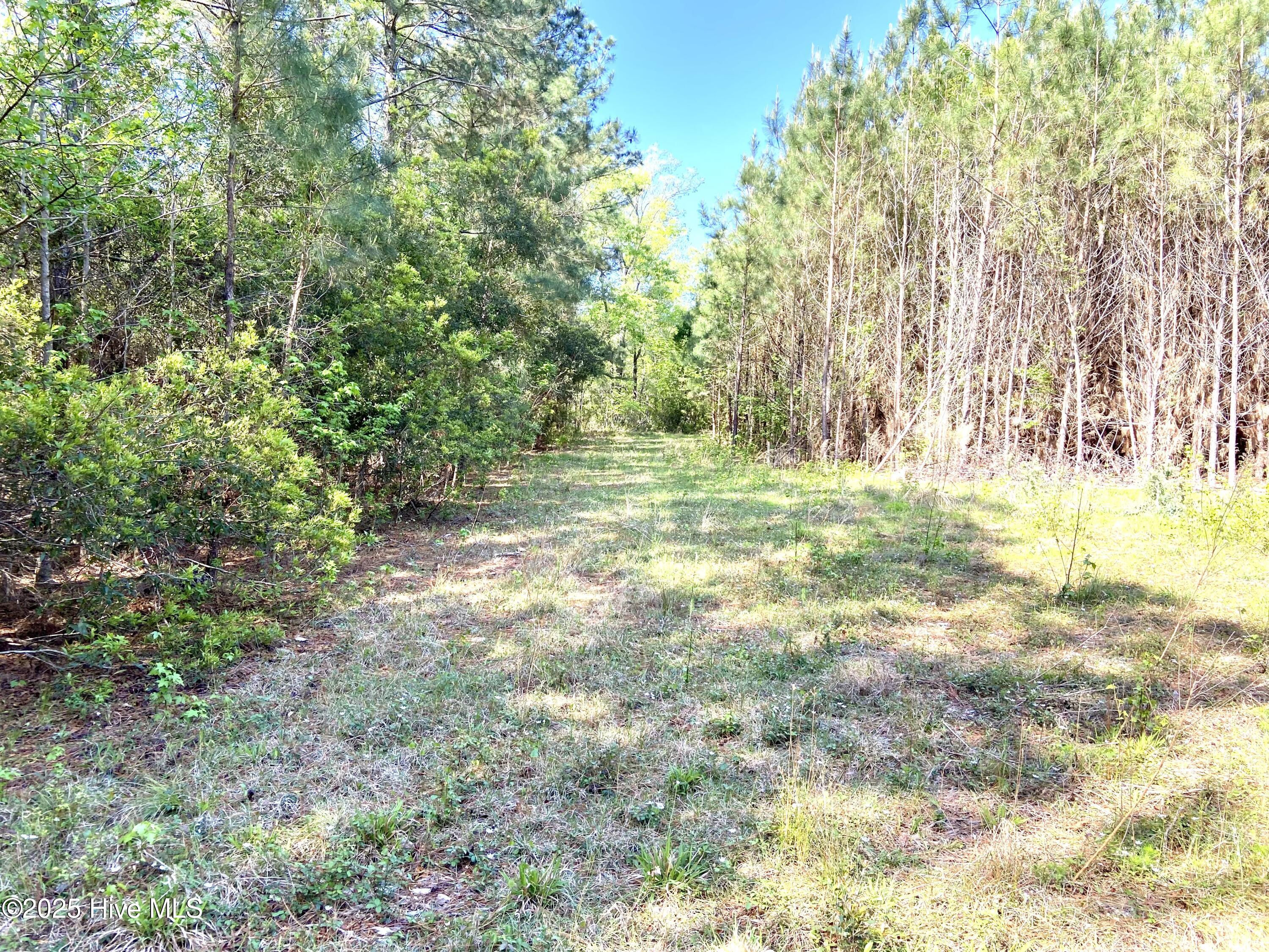 551 Berrys Creek Road Property Photo 5