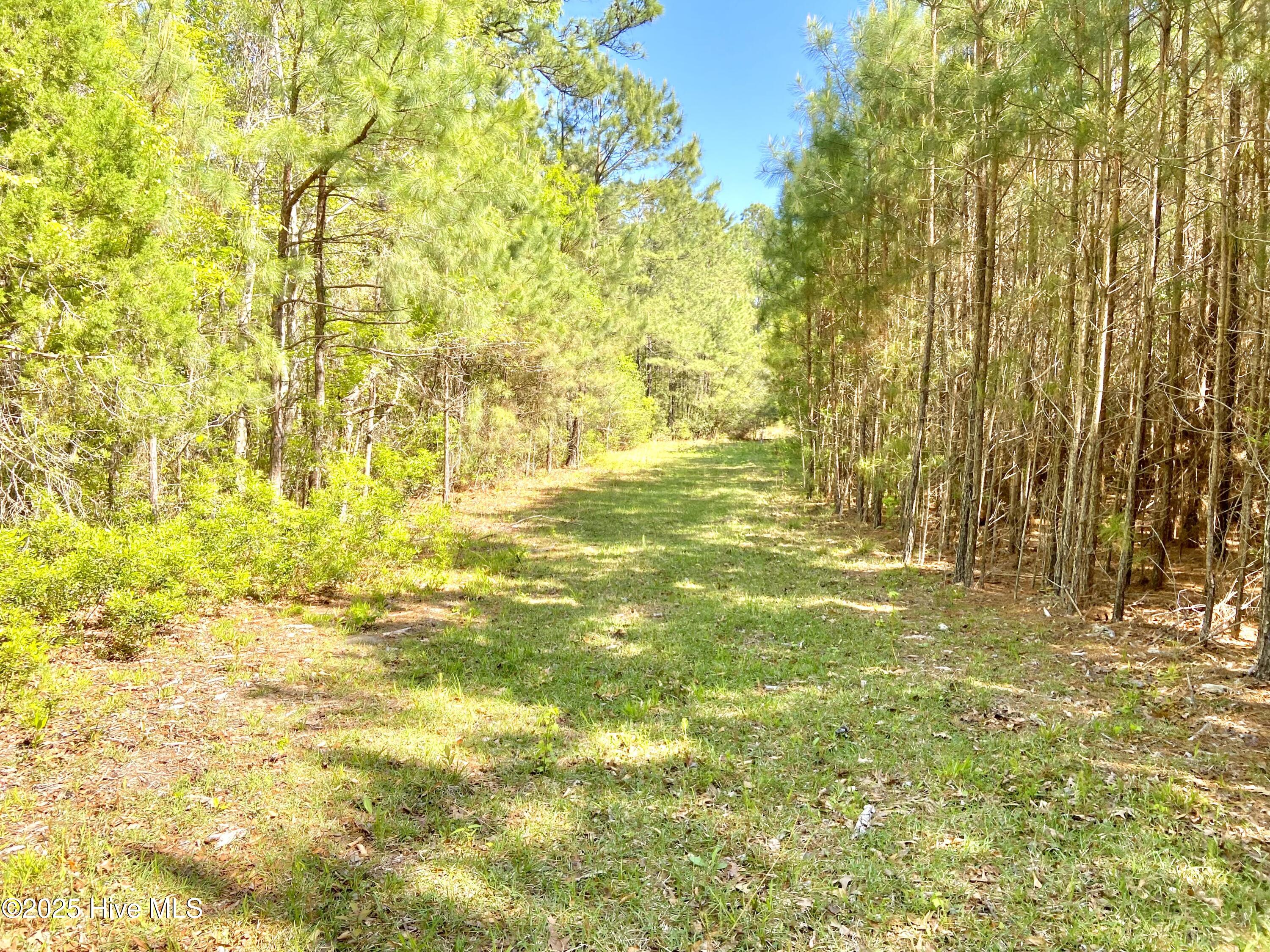 551 Berrys Creek Road Property Photo 7