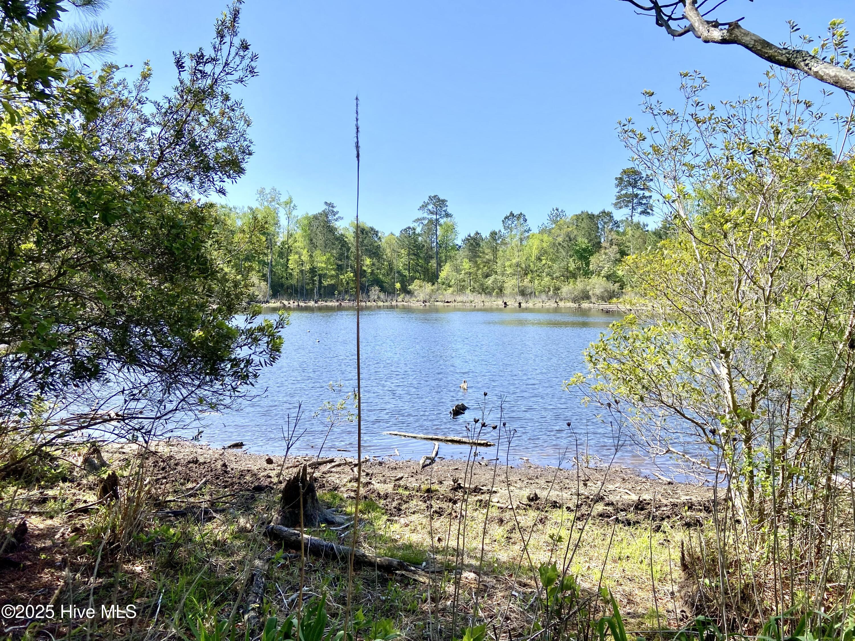 551 Berrys Creek Road Property Photo 8